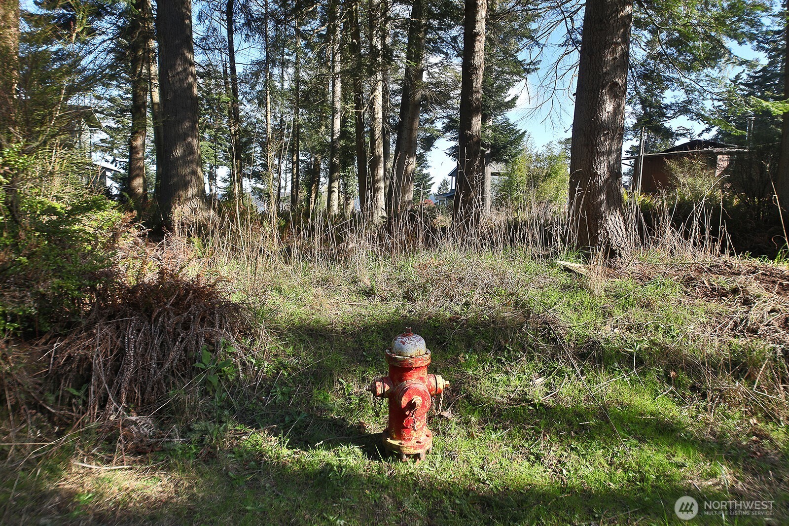 0 Salmonberry Road Property Photo 11