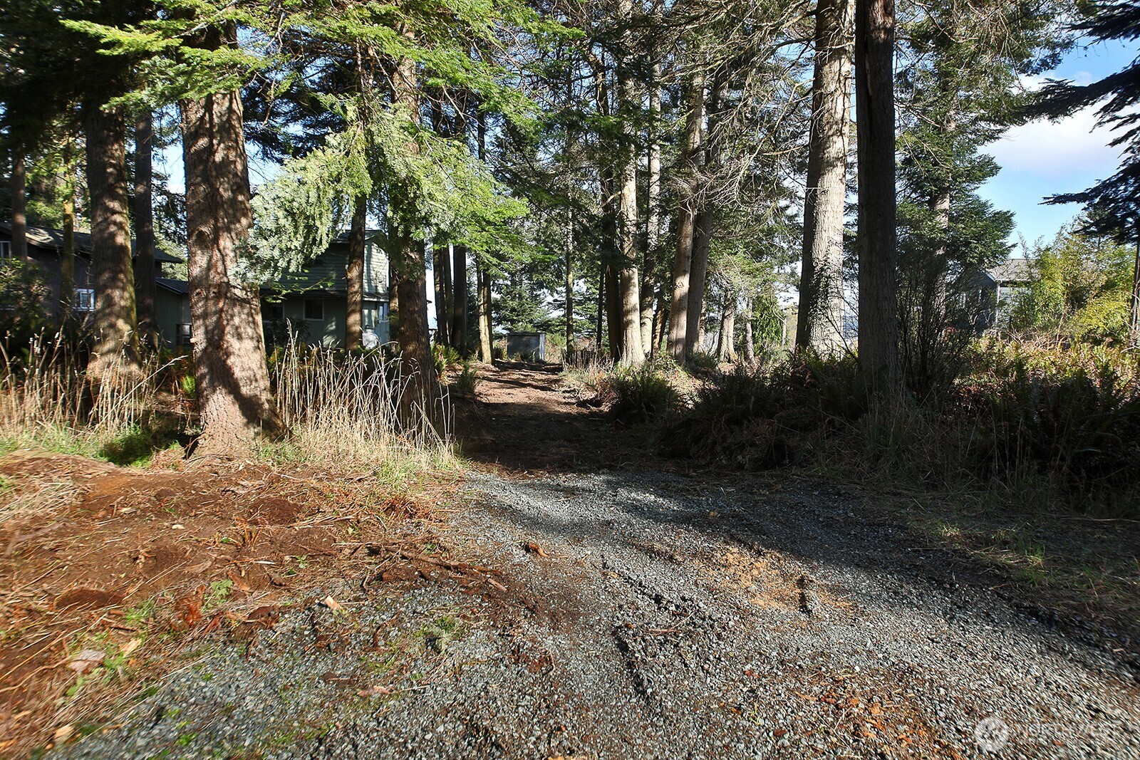 0 Salmonberry Road Property Photo 12