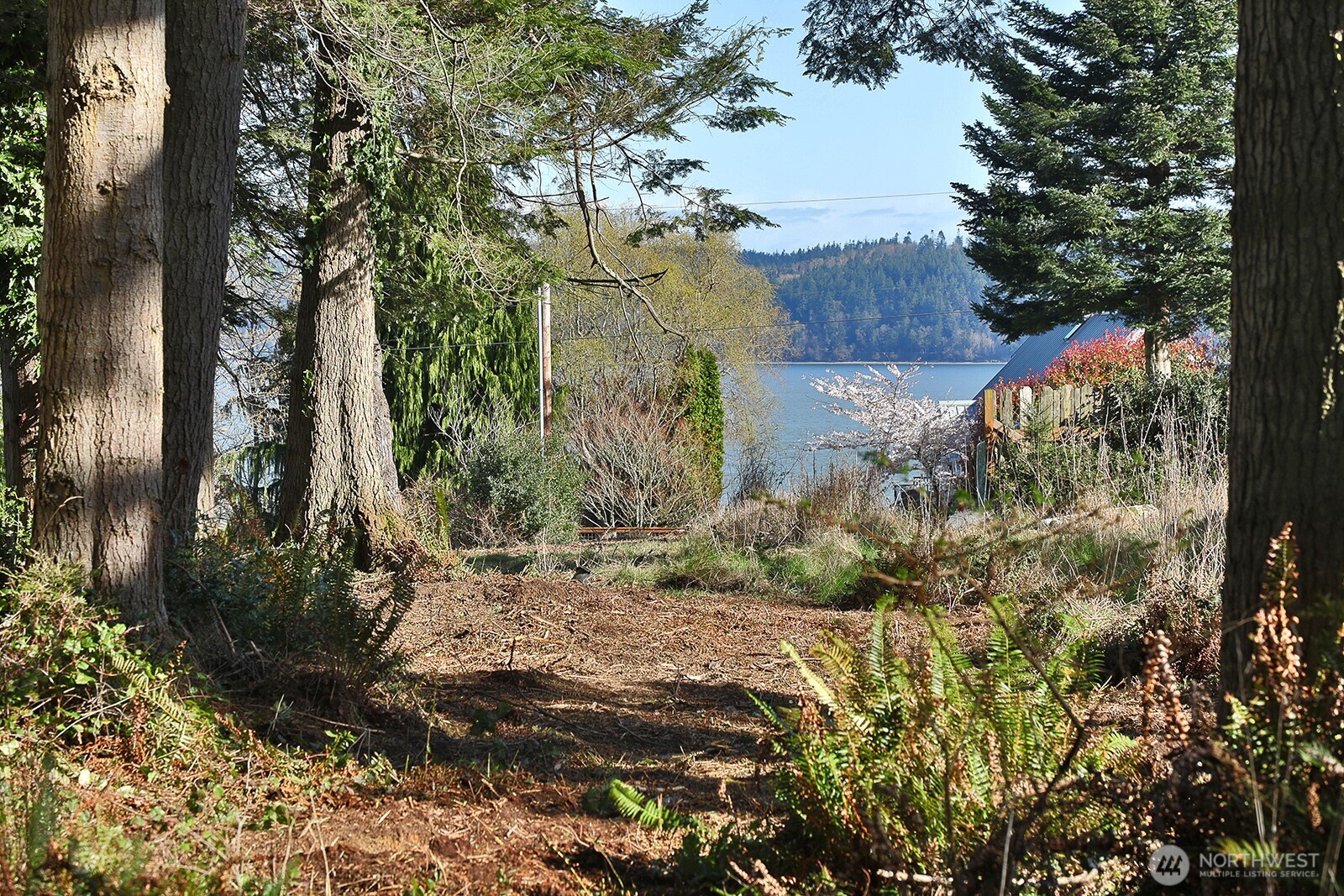 0 Salmonberry Road Property Photo 17