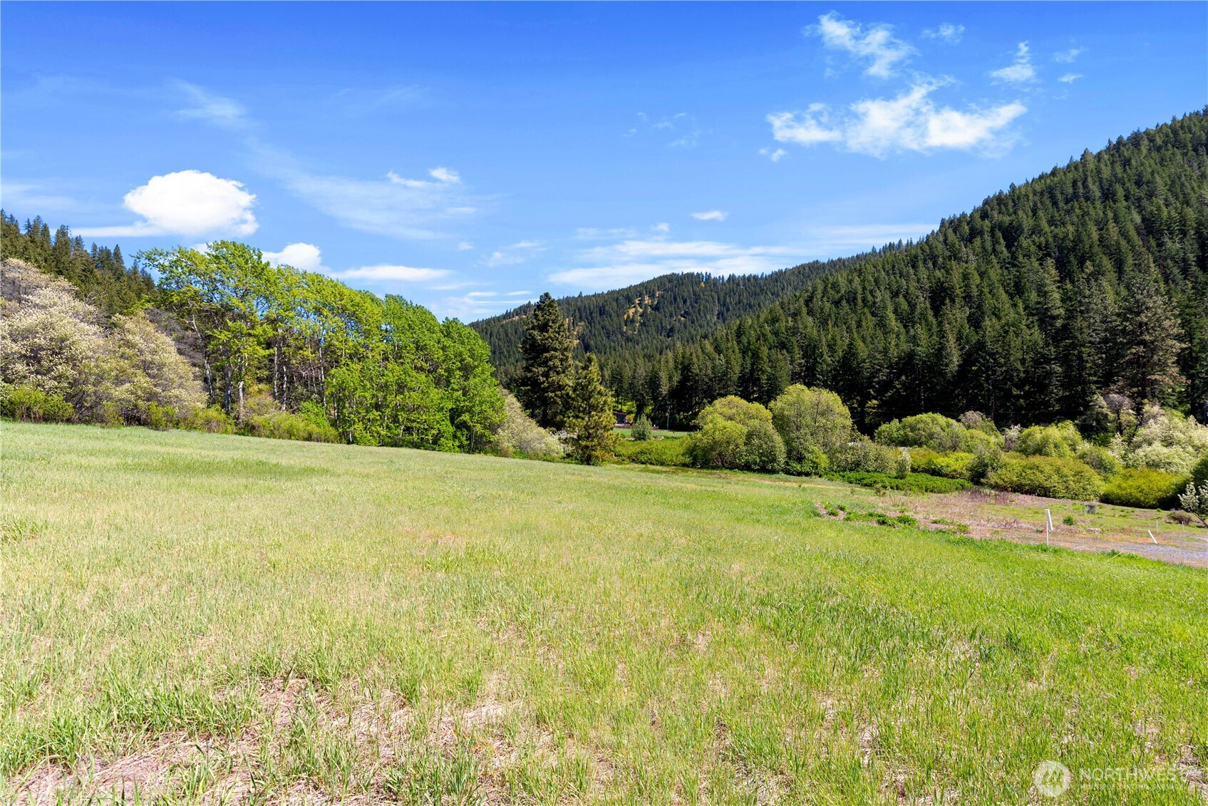 1111 Chumstick Highway Property Photo 3