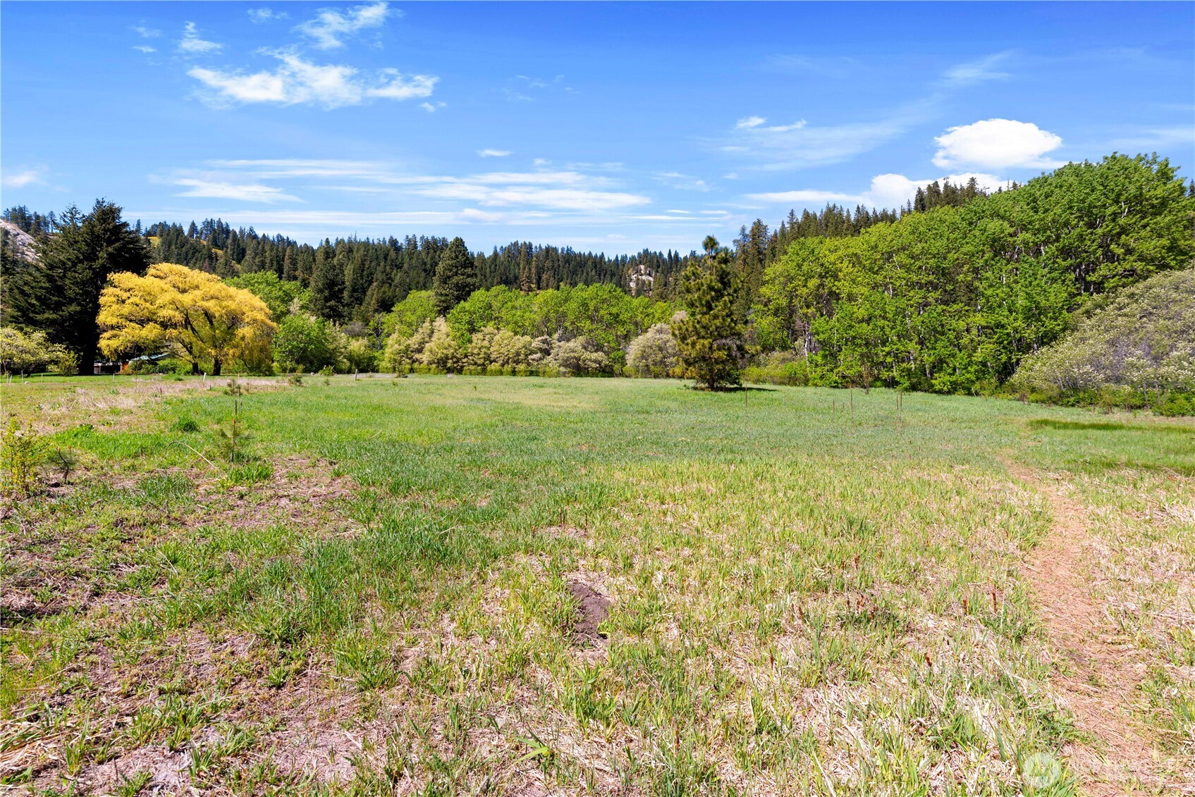 1111 Chumstick Highway Property Photo 5
