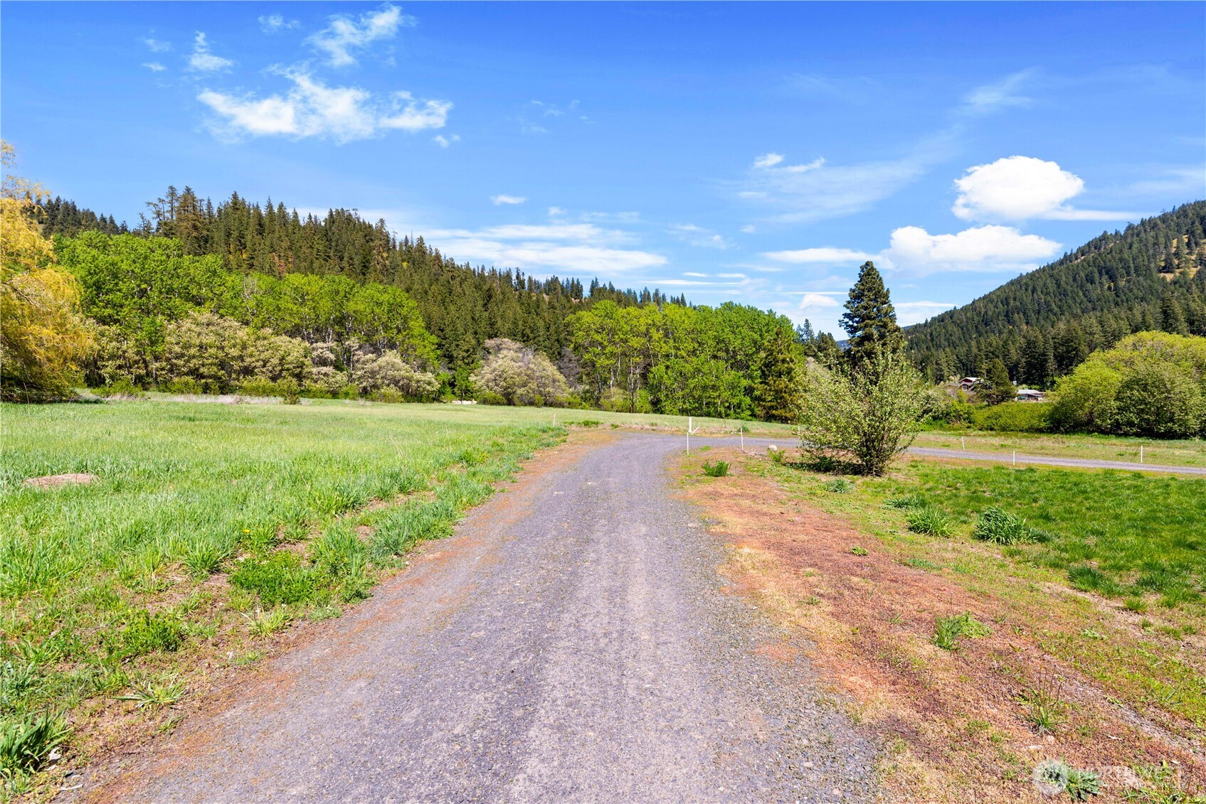 1111 Chumstick Highway Property Photo 6
