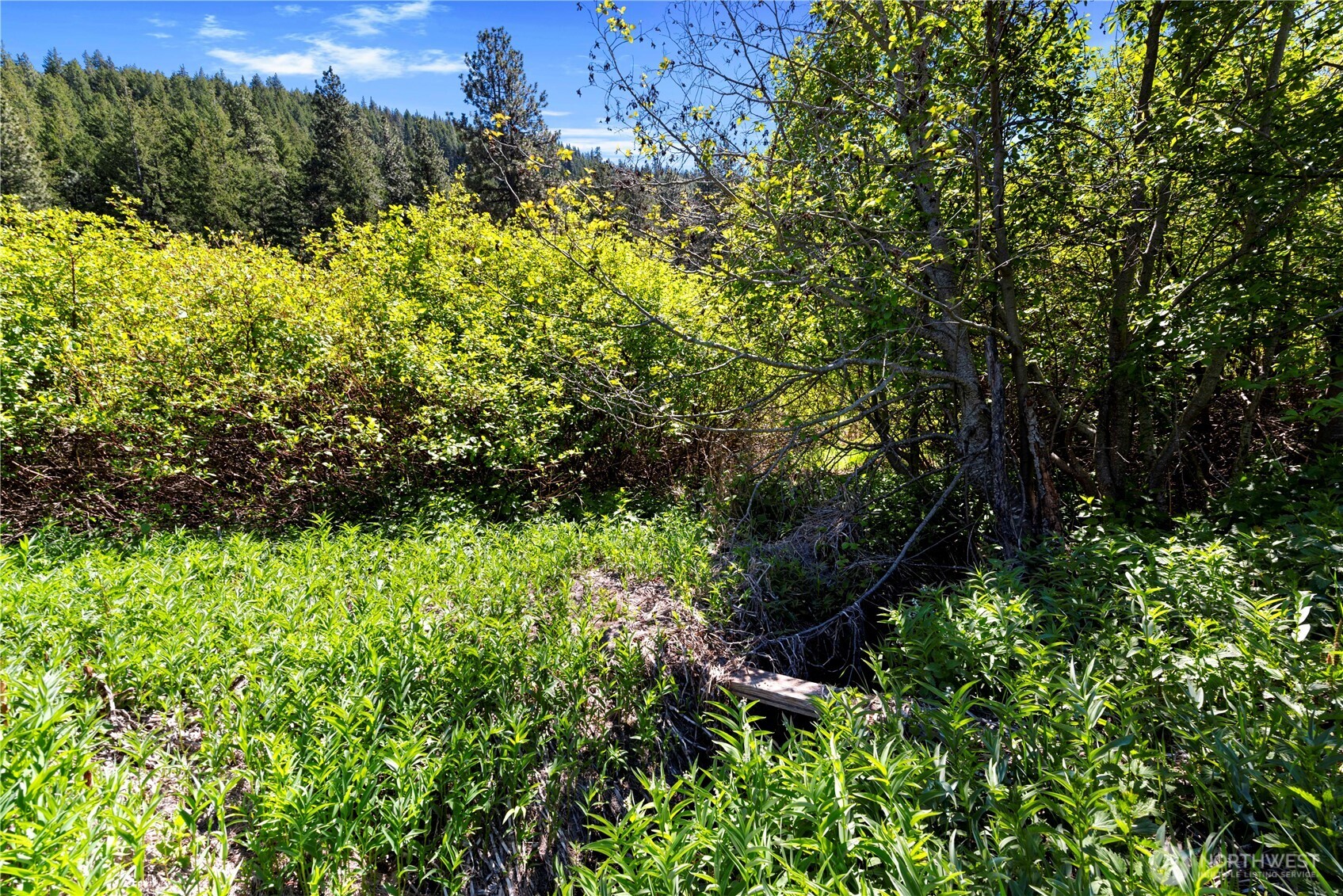 1111 Chumstick Highway Property Photo 8