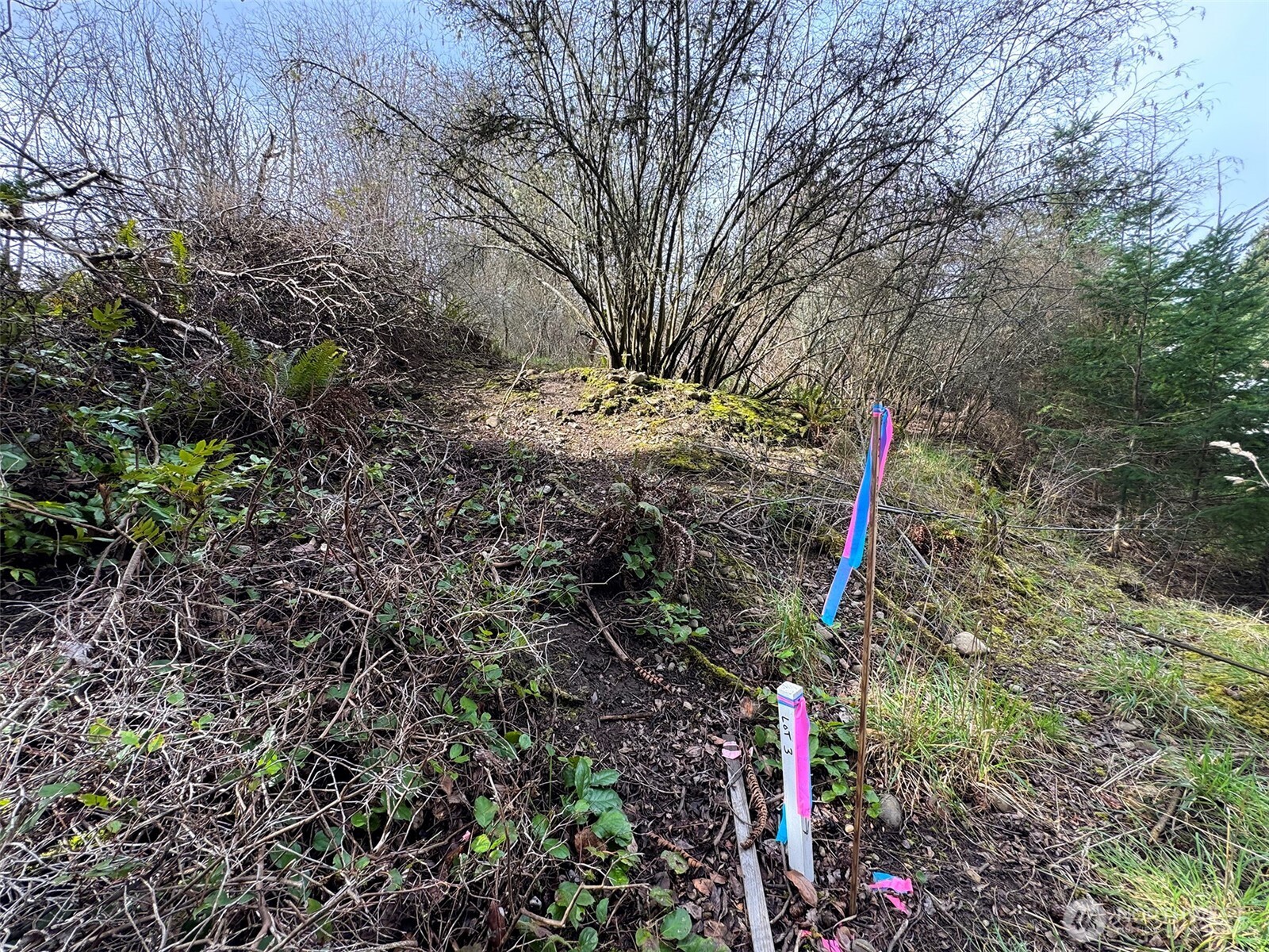 9999 W 8th Street Property Photo 8