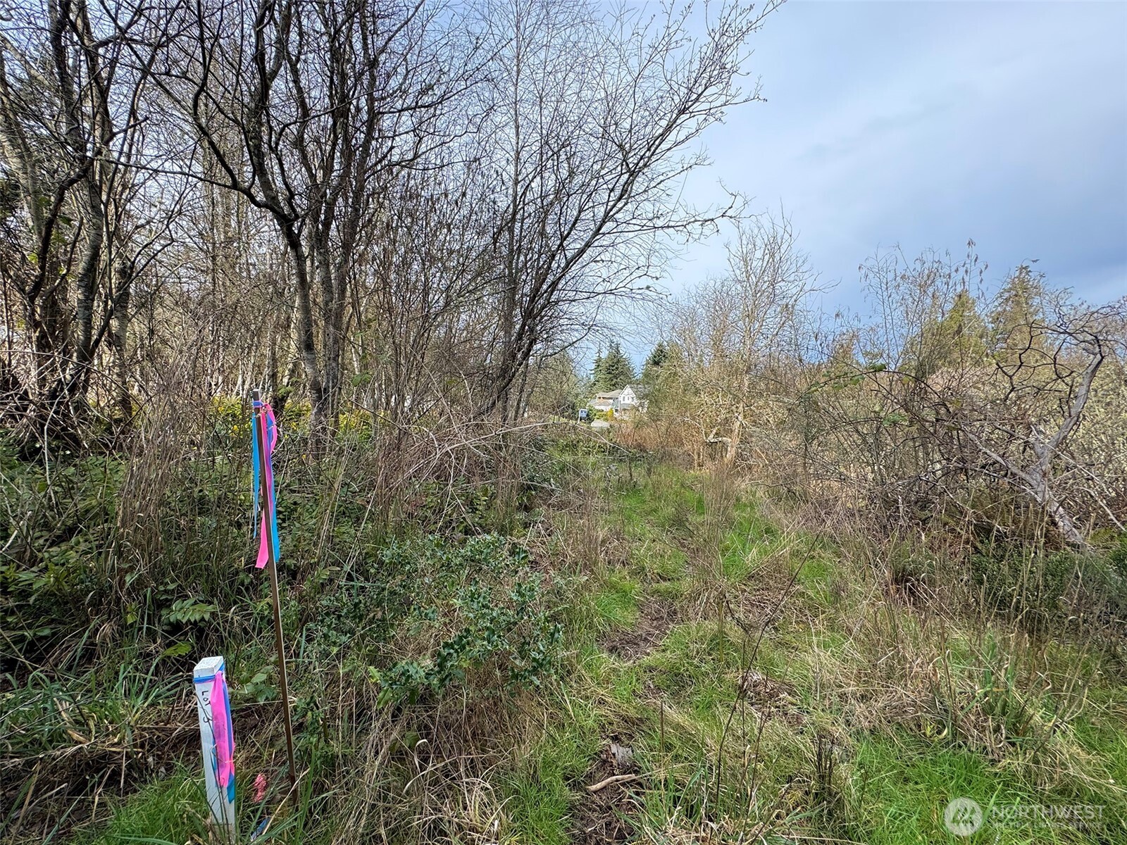 9999 W 8th Street Property Photo 10