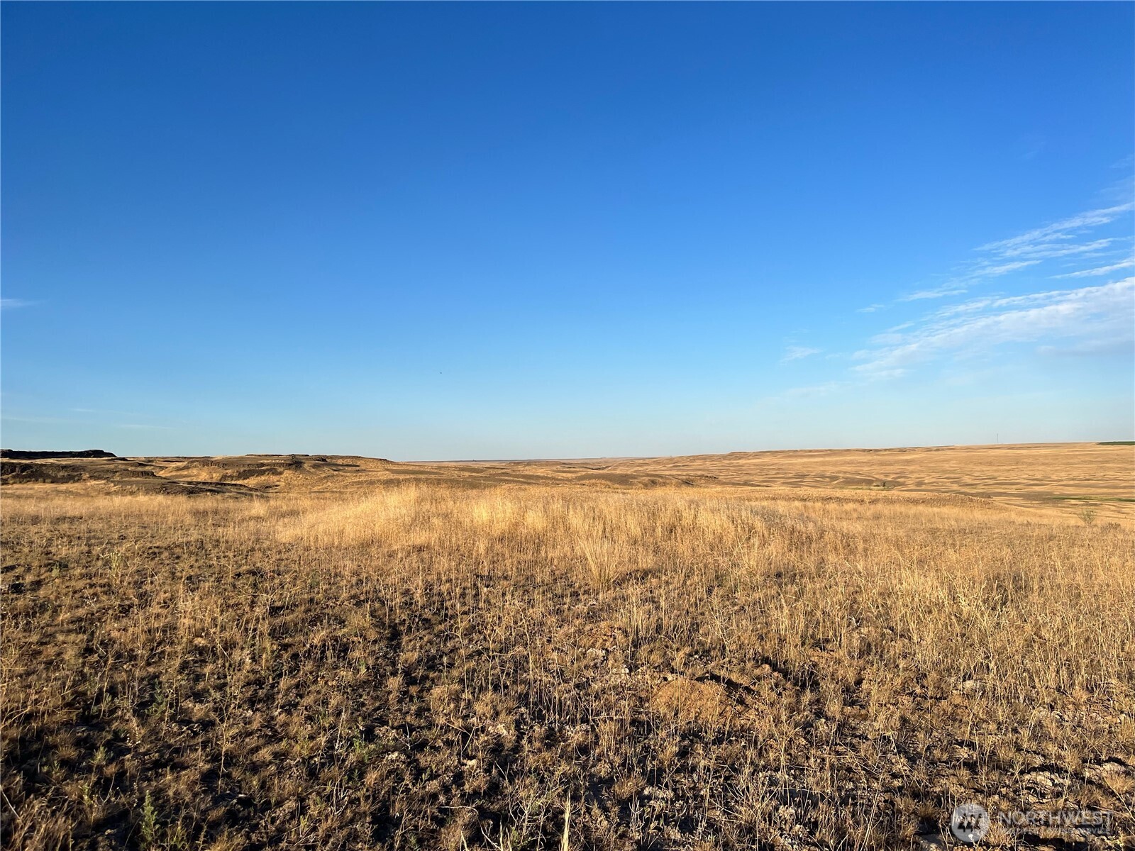 45 Eagle Springs Ranch Property Photo 4