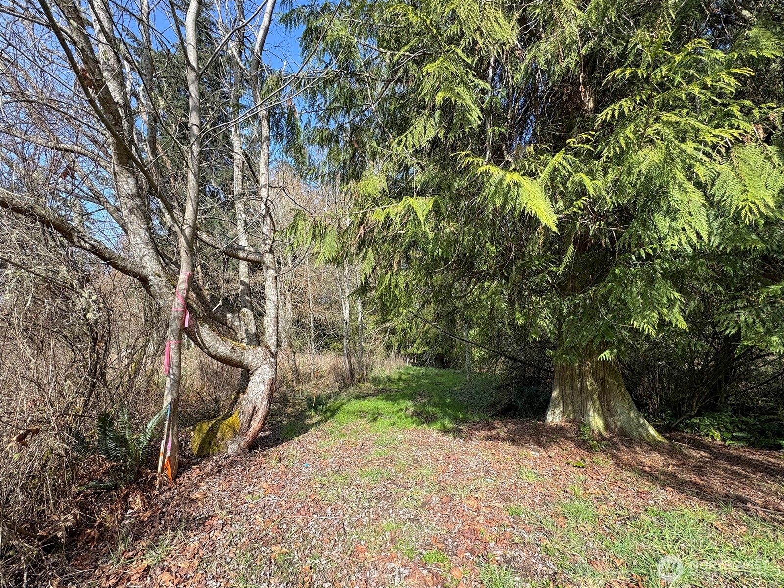 2211 Lindberg Road Property Photo 5