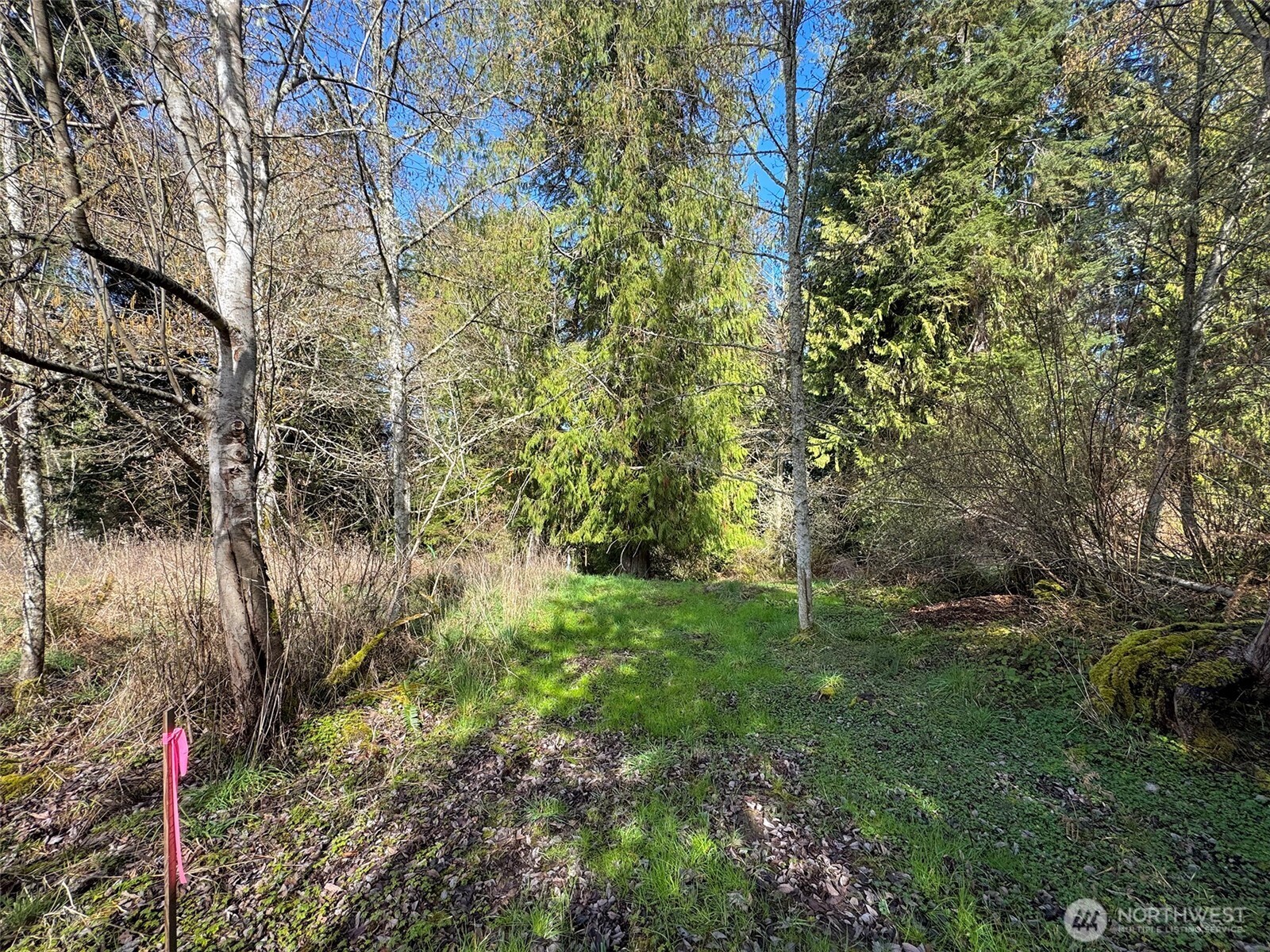 2211 Lindberg Road Property Photo 6