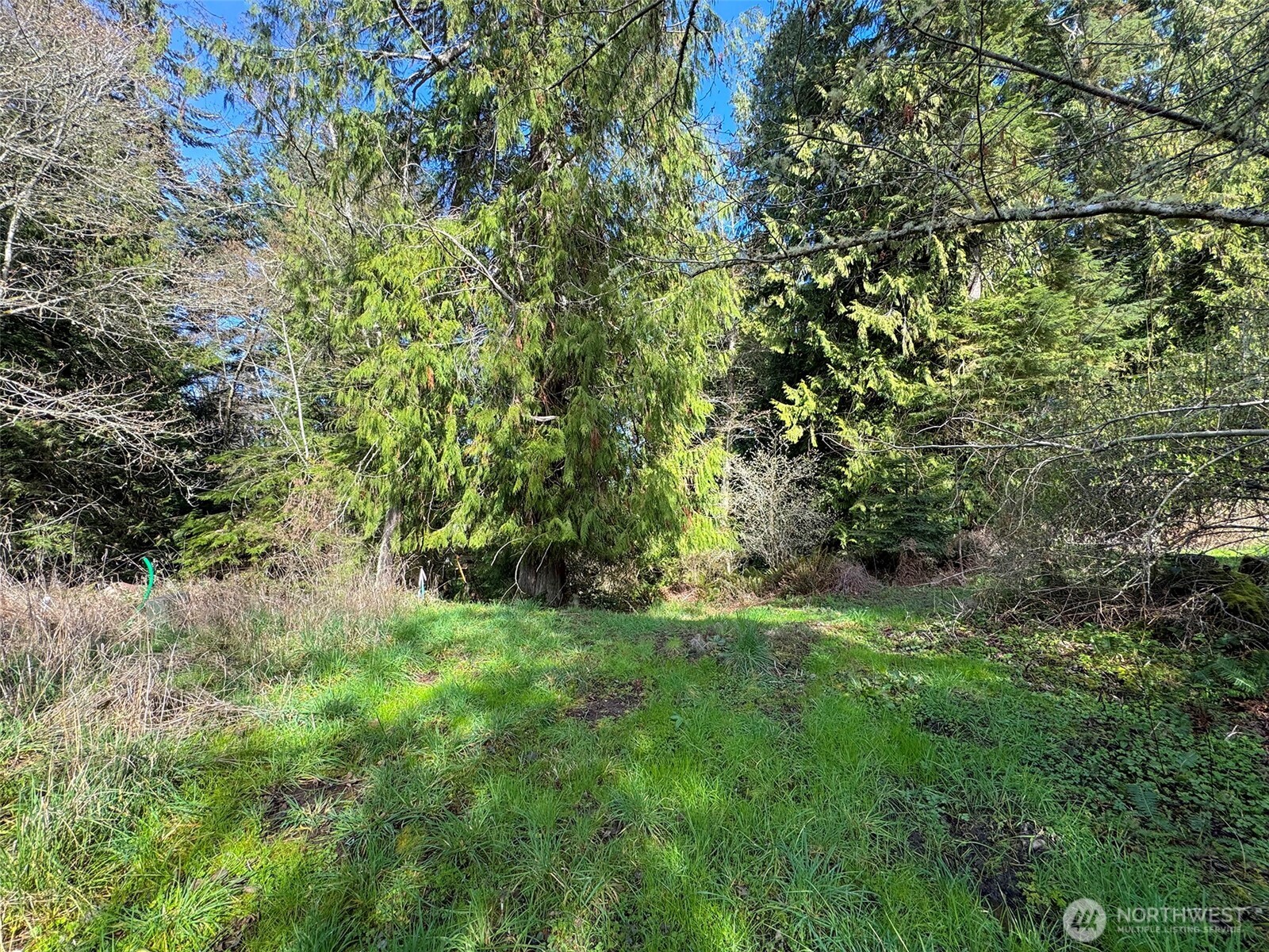2211 Lindberg Road Property Photo 7