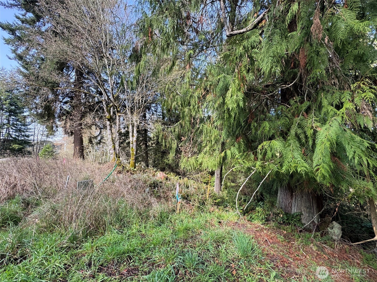 2211 Lindberg Road Property Photo 8