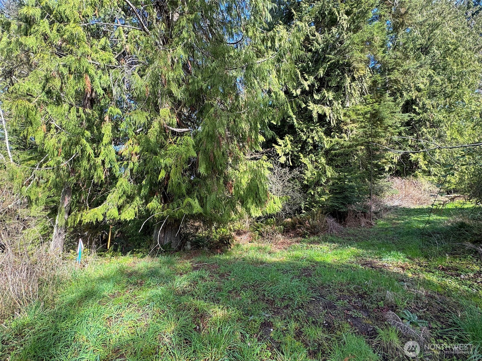 2211 Lindberg Road Property Photo 10