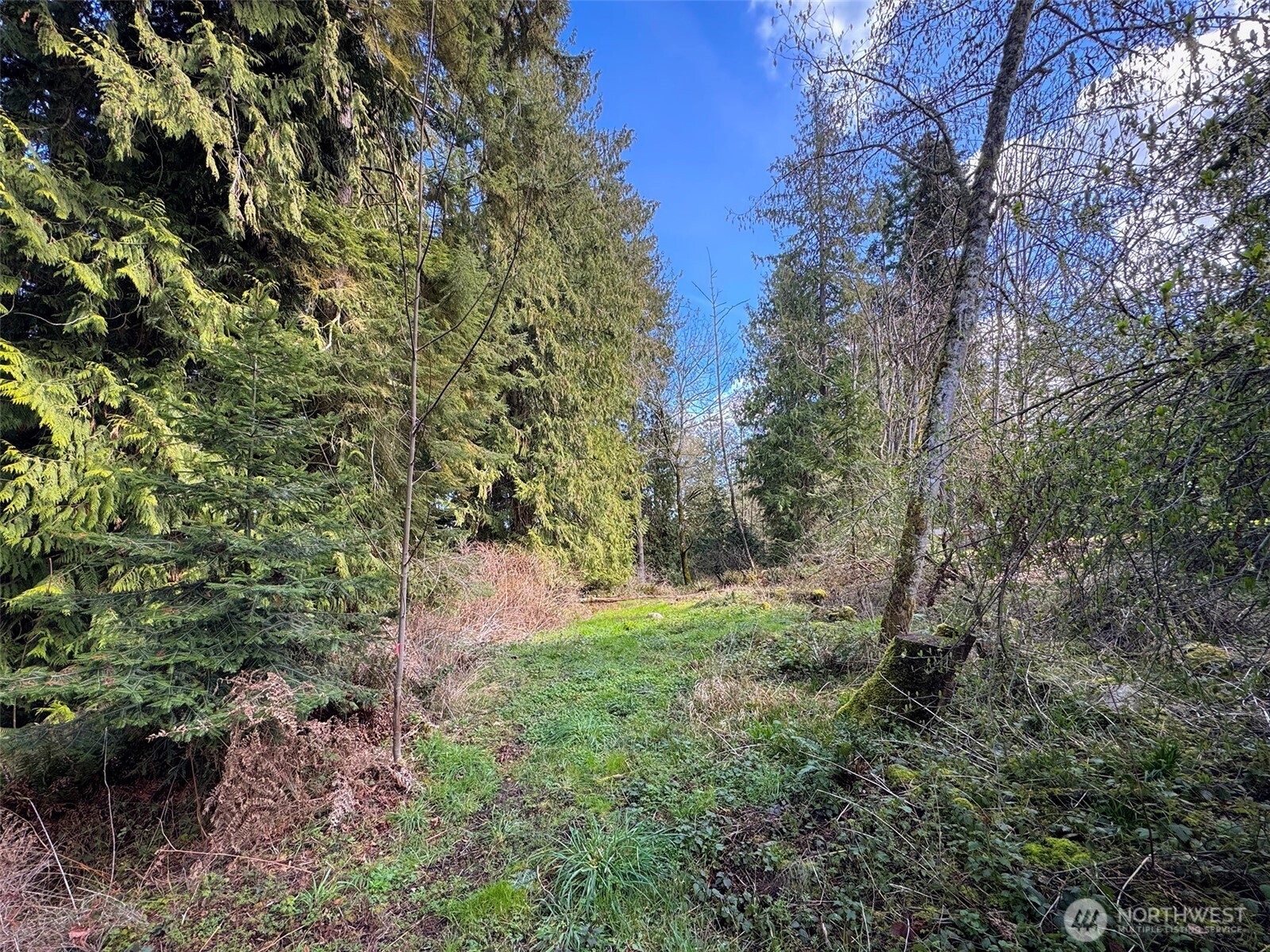 2211 Lindberg Road Property Photo 12