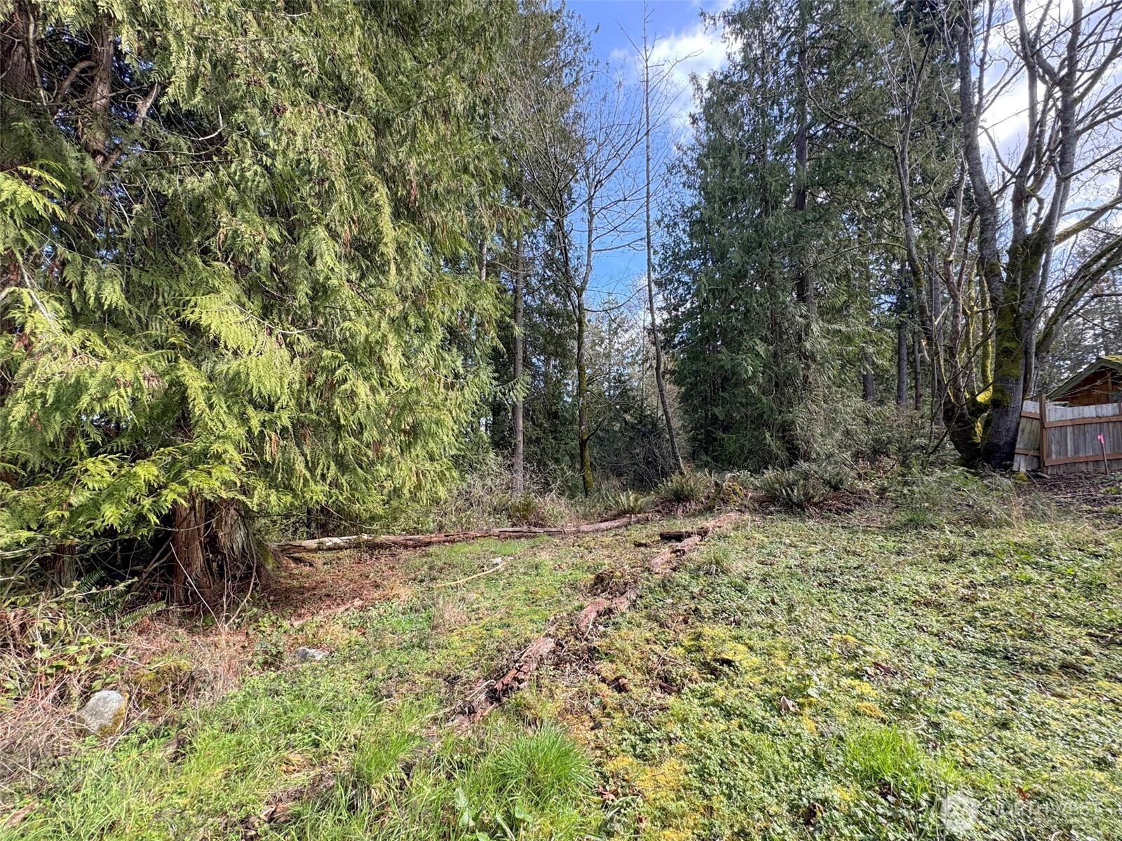 2211 Lindberg Road Property Photo 15