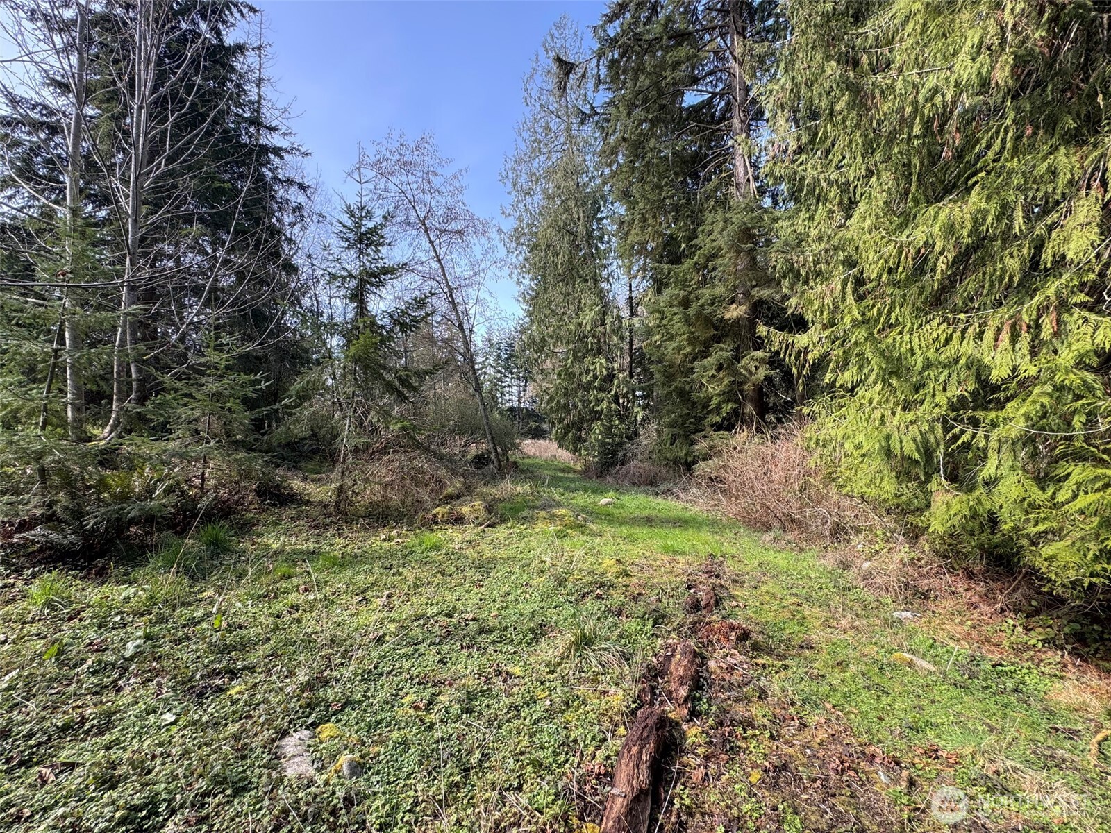 2211 Lindberg Road Property Photo 16