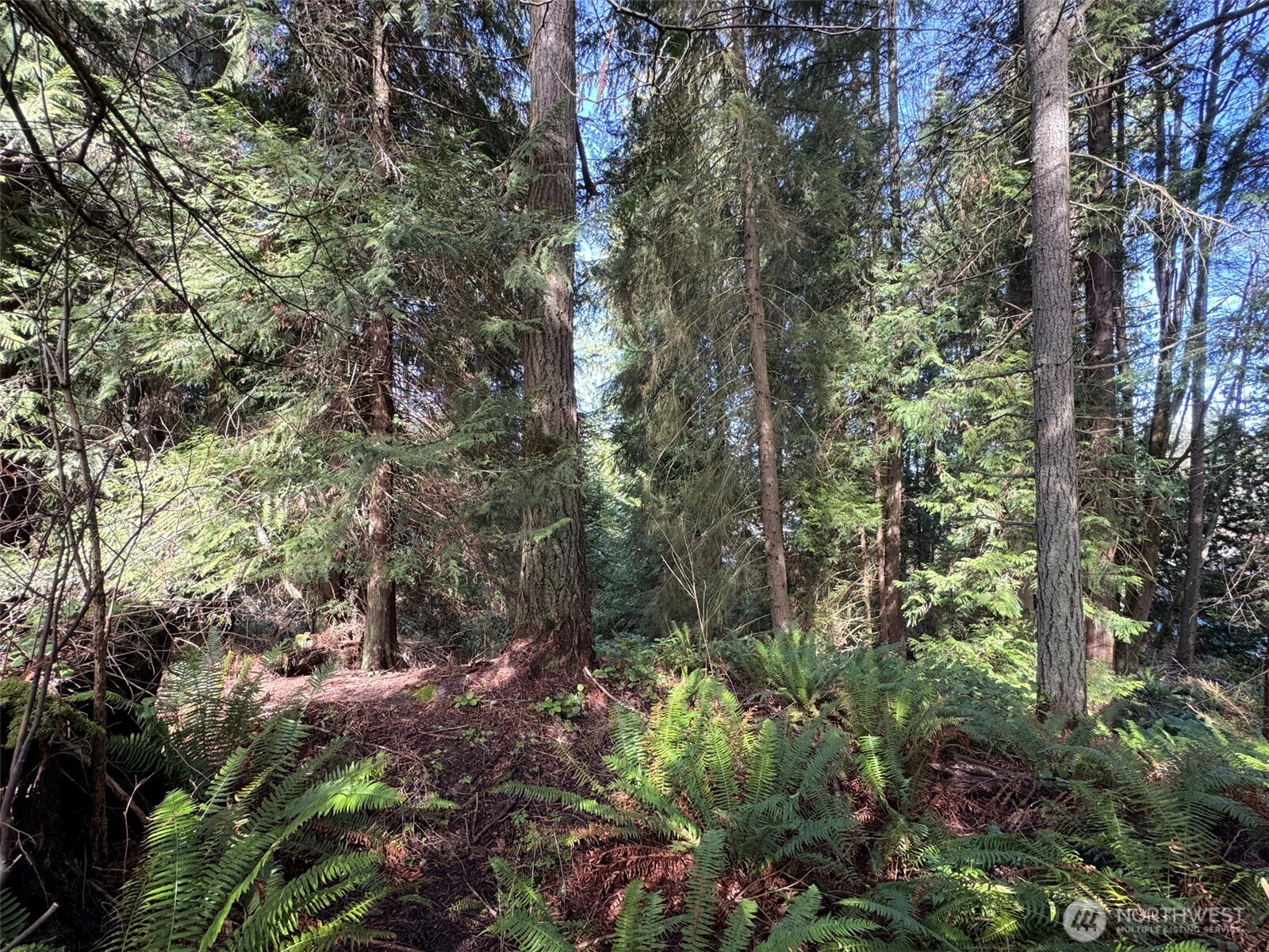 2211 Lindberg Road Property Photo 17