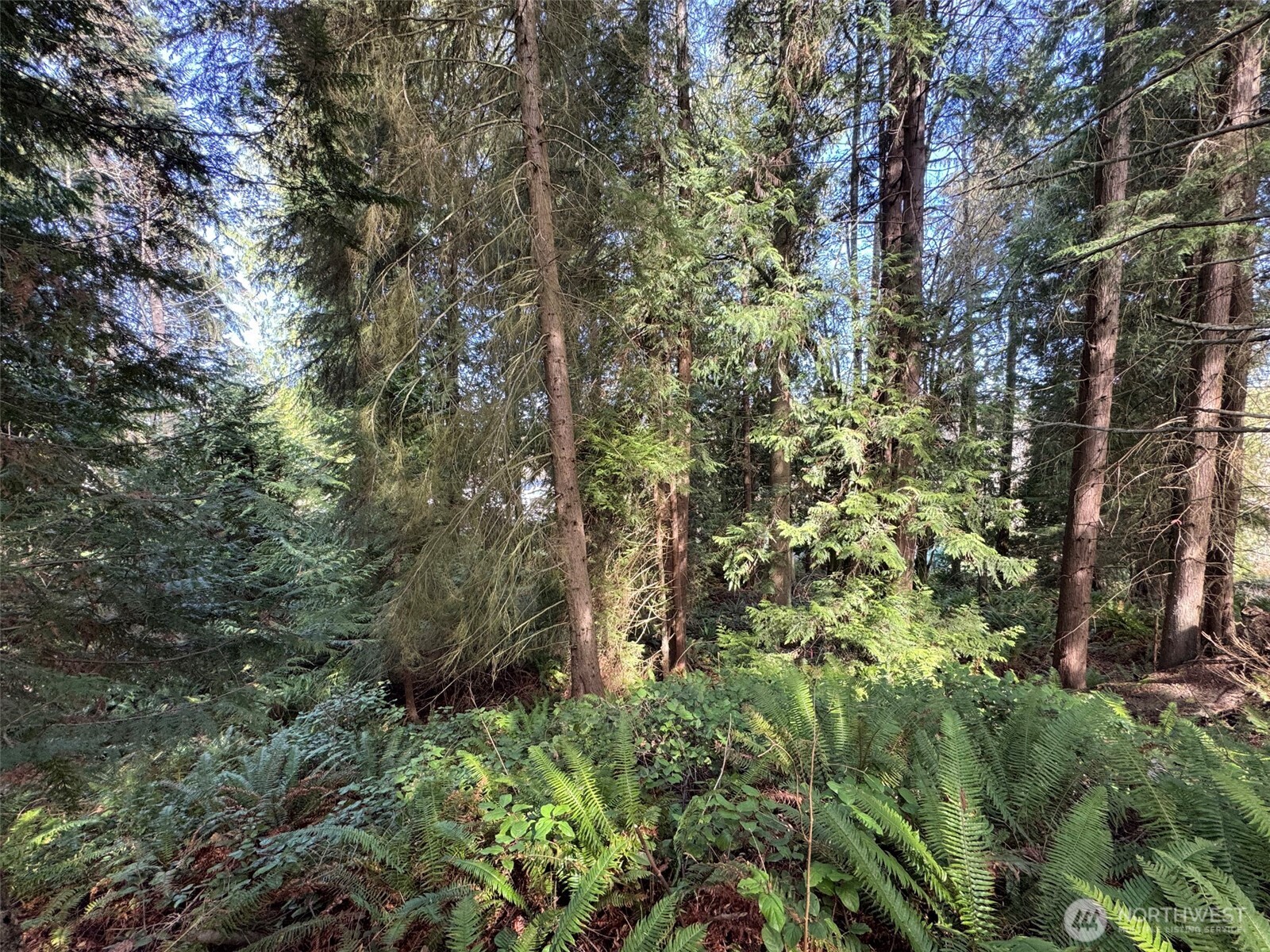 2211 Lindberg Road Property Photo 19