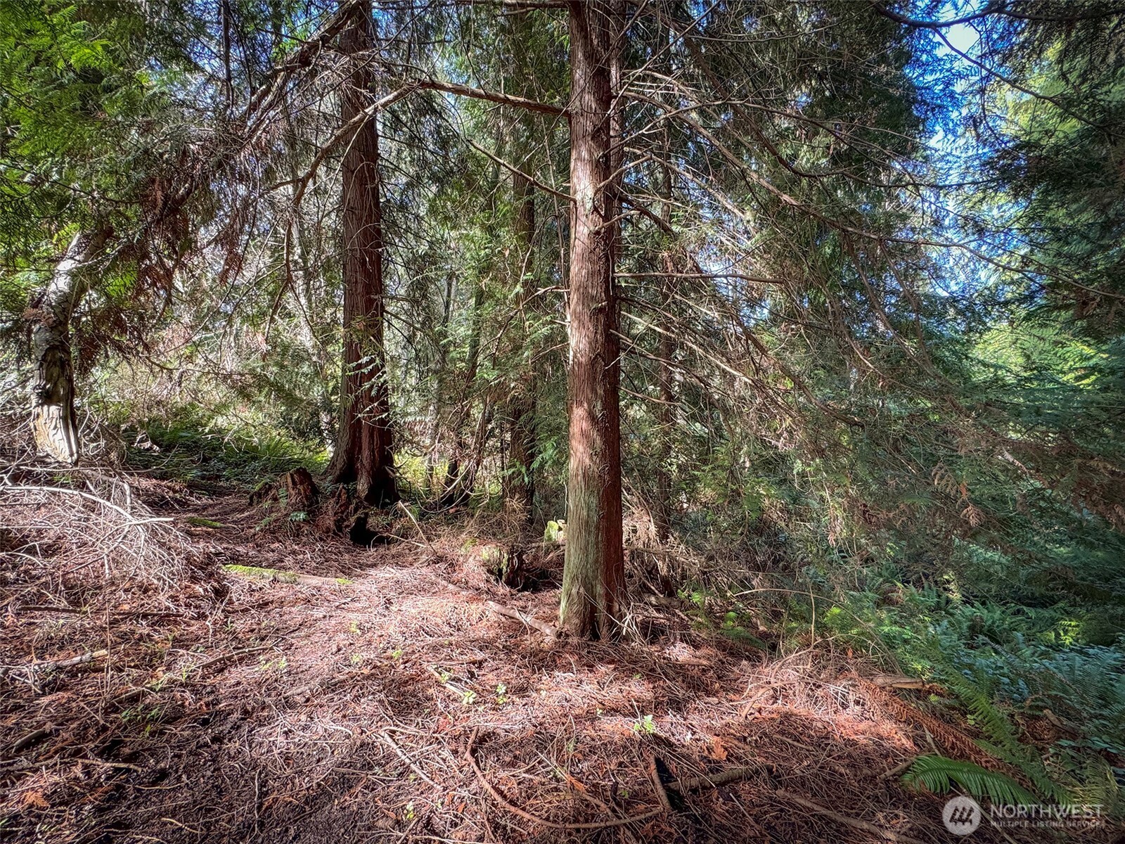 2211 Lindberg Road Property Photo 20