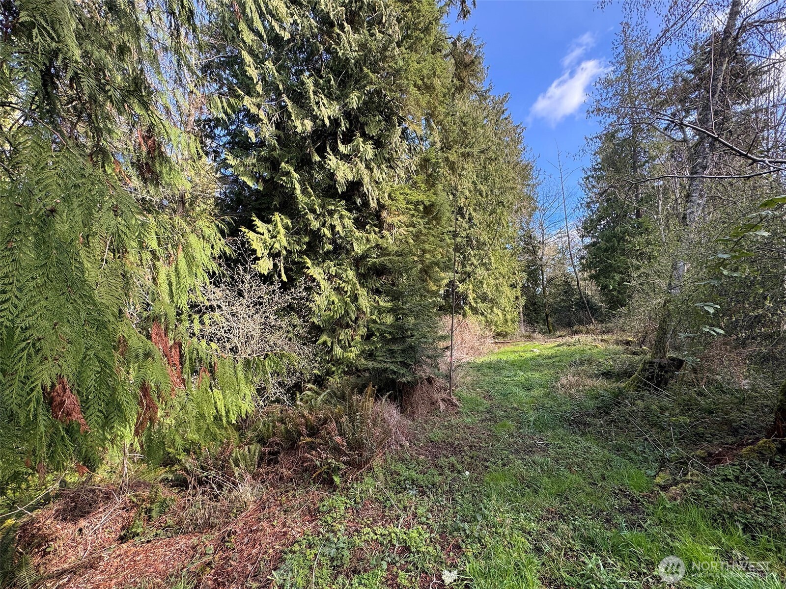 2211 Lindberg Road Property Photo 22