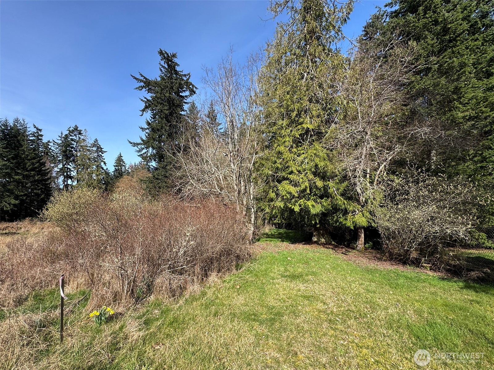 2211 Lindberg Road Property Photo 23