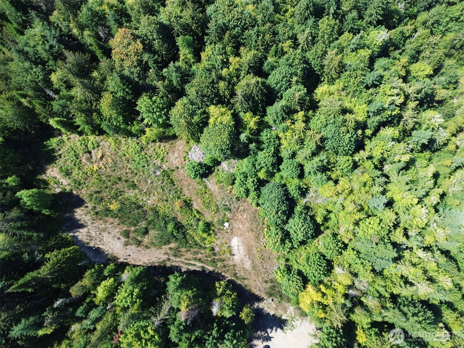 596 Watershed Property Photo 5