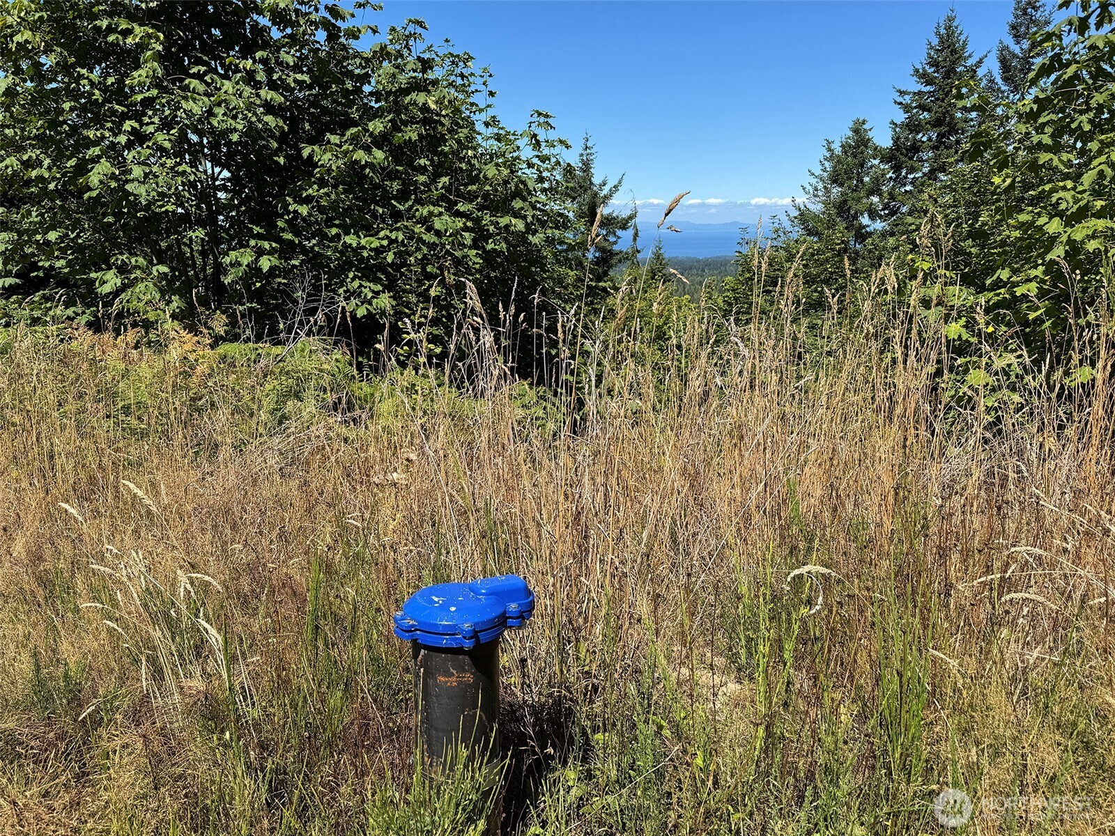 596 Watershed Property Photo 9