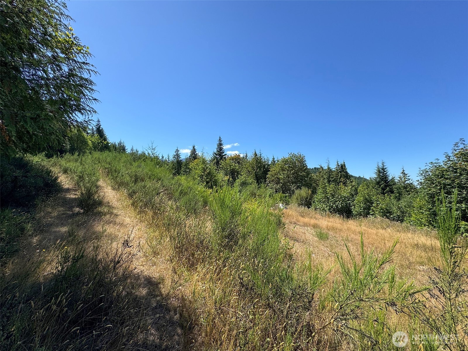 596 Watershed Property Photo 10