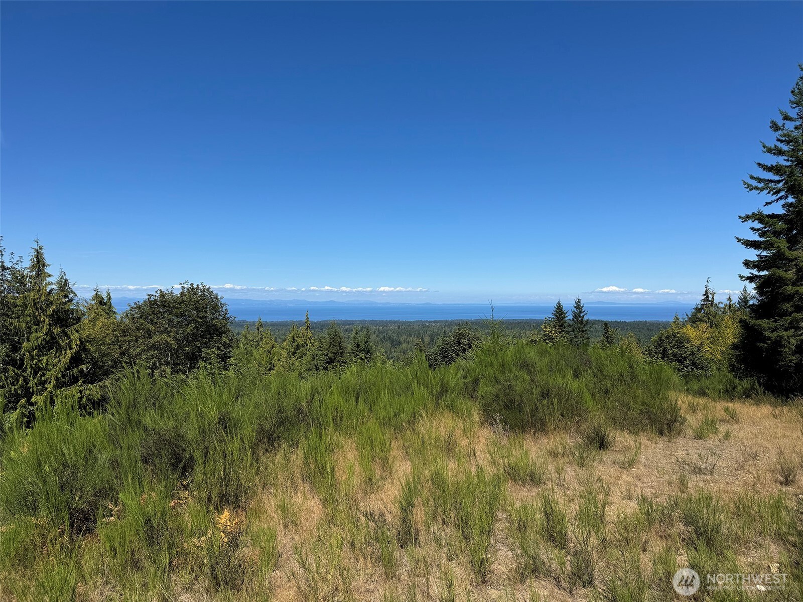 596 Watershed Property Photo 11