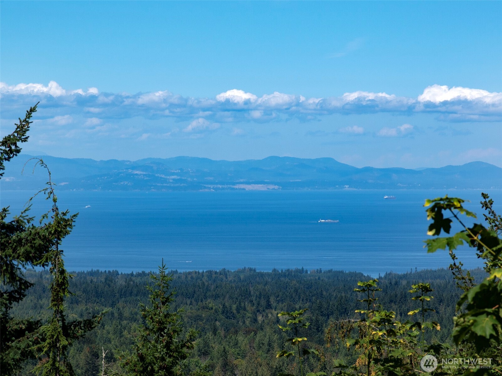 596 Watershed Property Photo 13