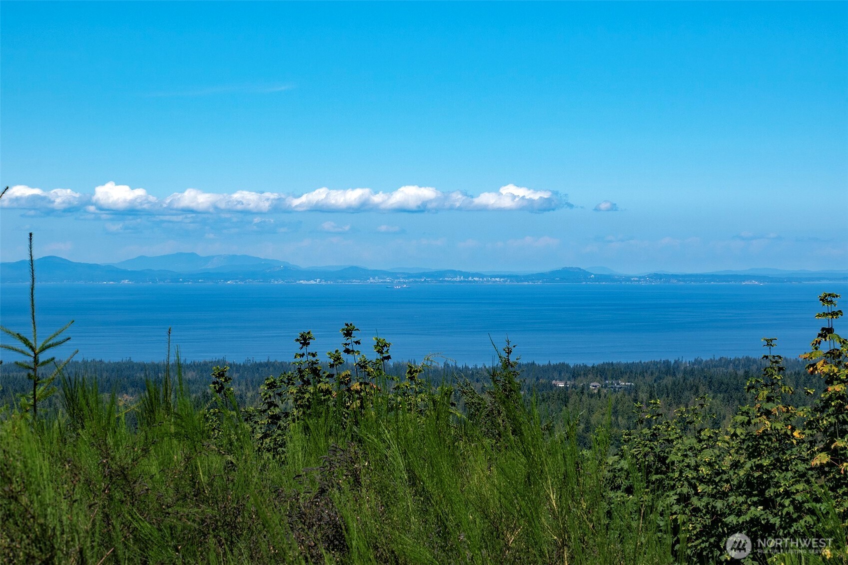 596 Watershed Property Photo 14
