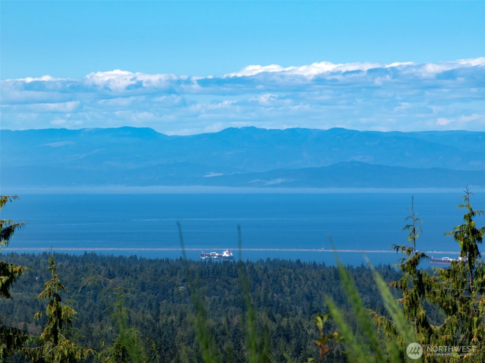 596 Watershed Property Photo 21