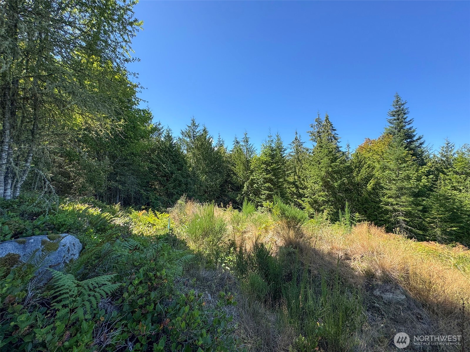 596 Watershed Property Photo 26