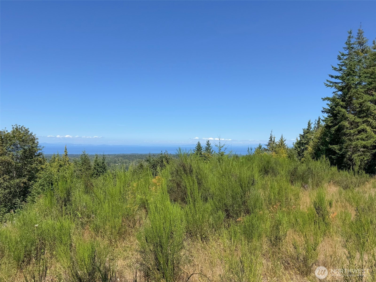 596 Watershed Property Photo 27