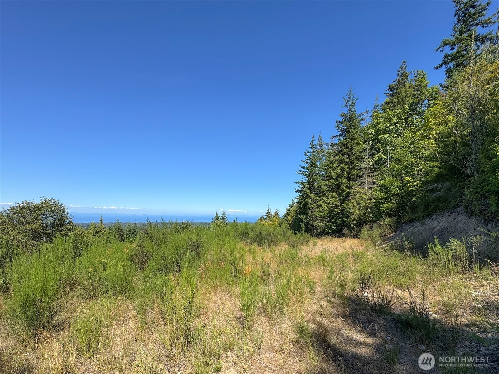 596 Watershed Property Photo 28
