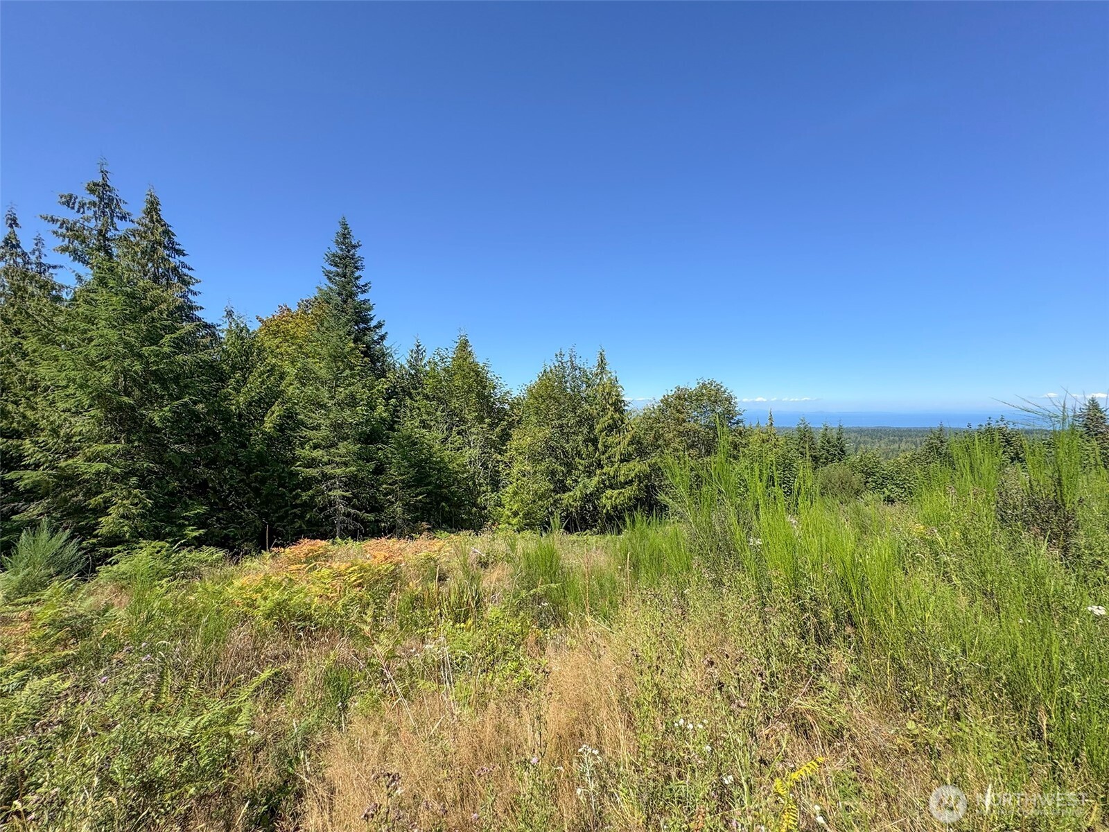 596 Watershed Property Photo 29