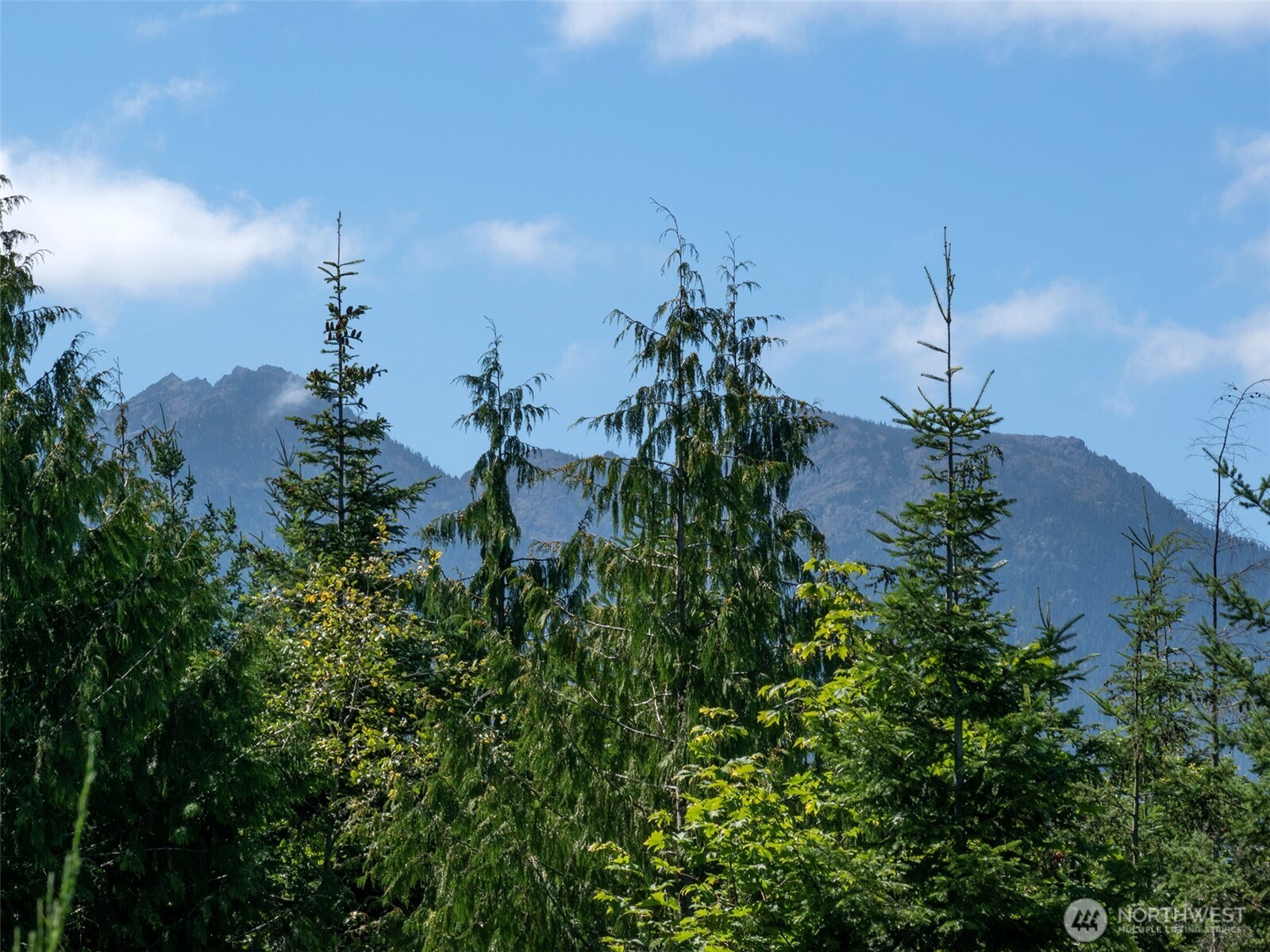 596 Watershed Property Photo 30