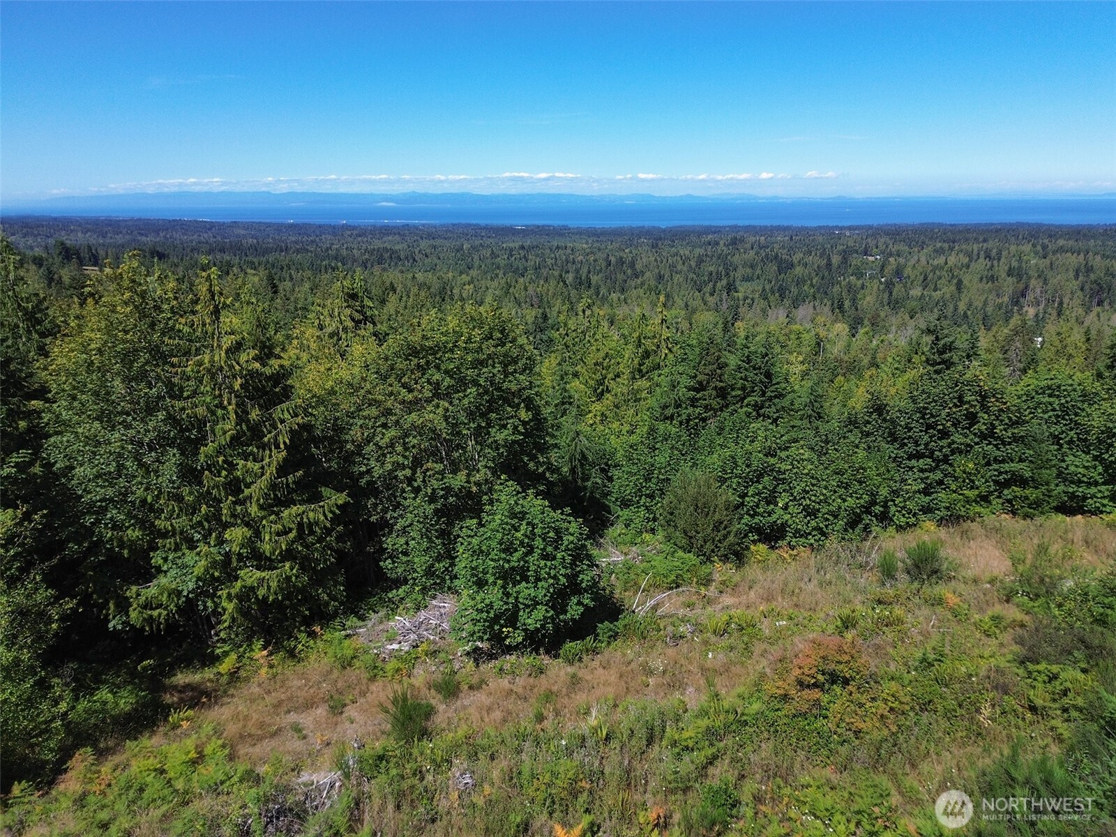 596 Watershed Property Photo 37