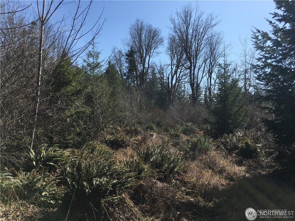 0 Summit Lake Road Property Photo 10