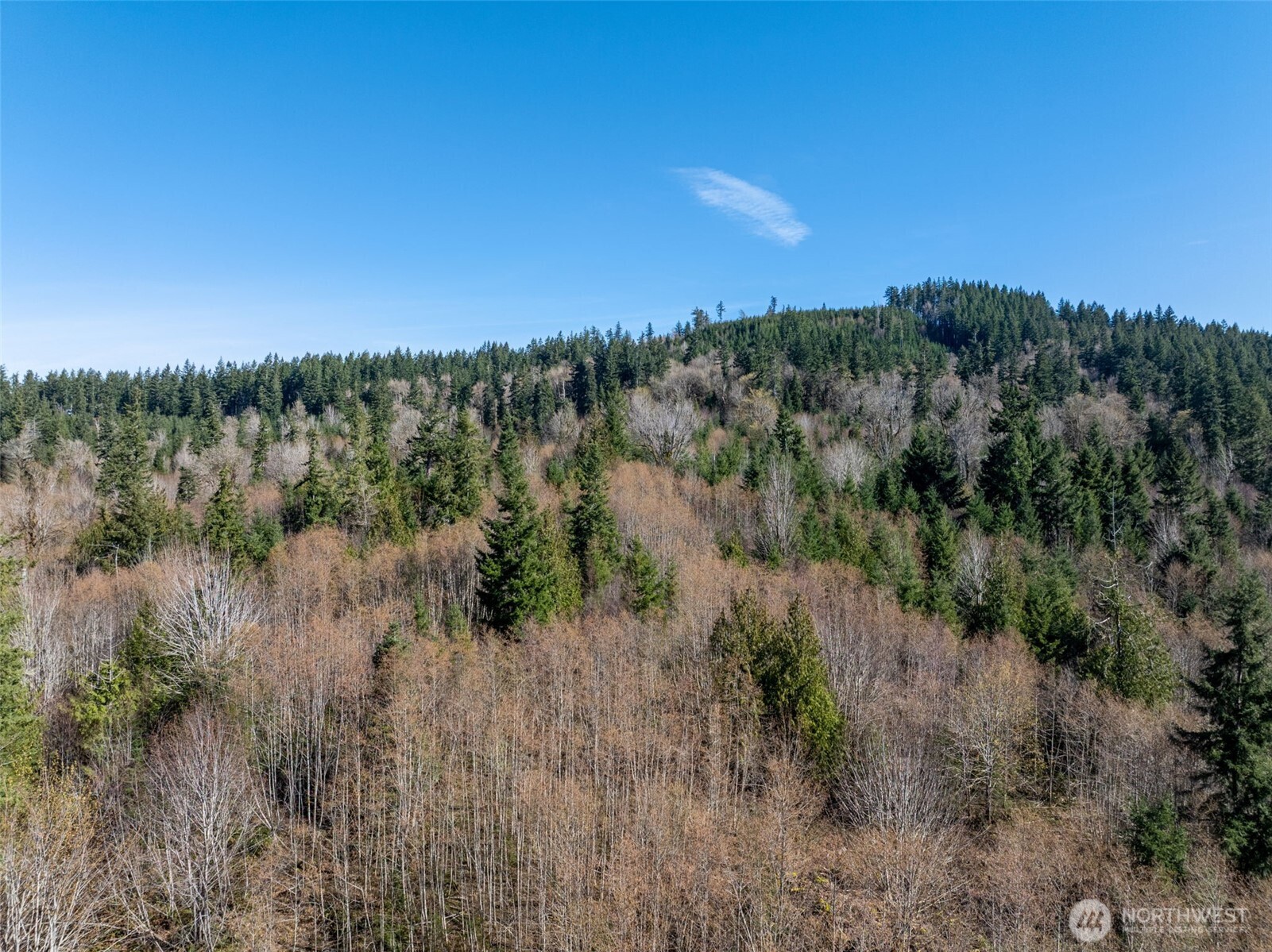 0 Summit Lake Road Property Photo 14