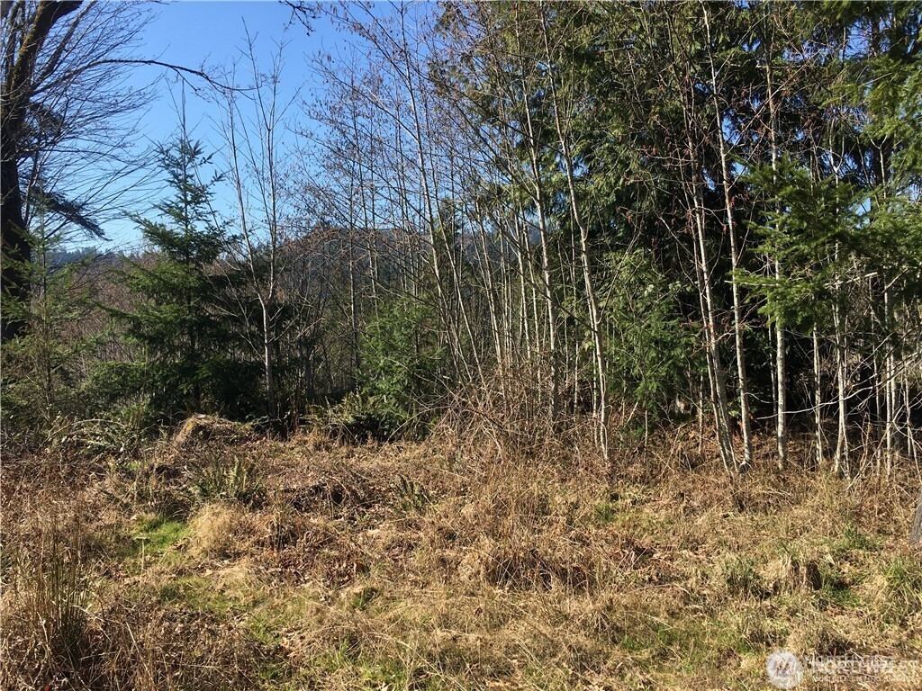 0 Summit Lake Road Property Photo 16