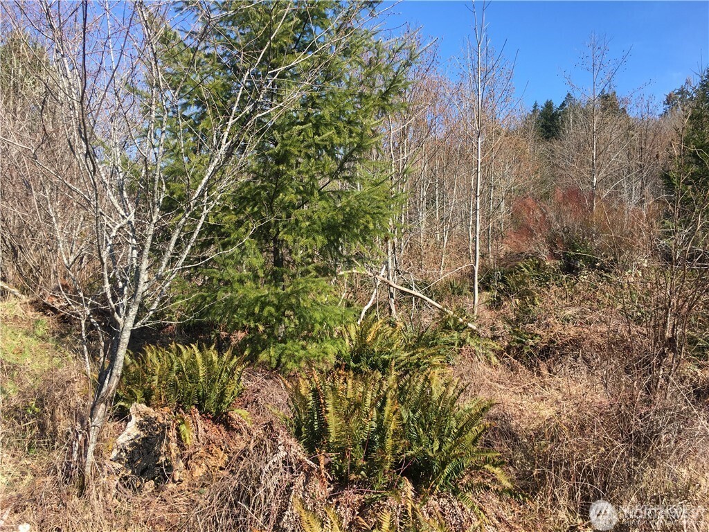 0 Summit Lake Road Property Photo 17