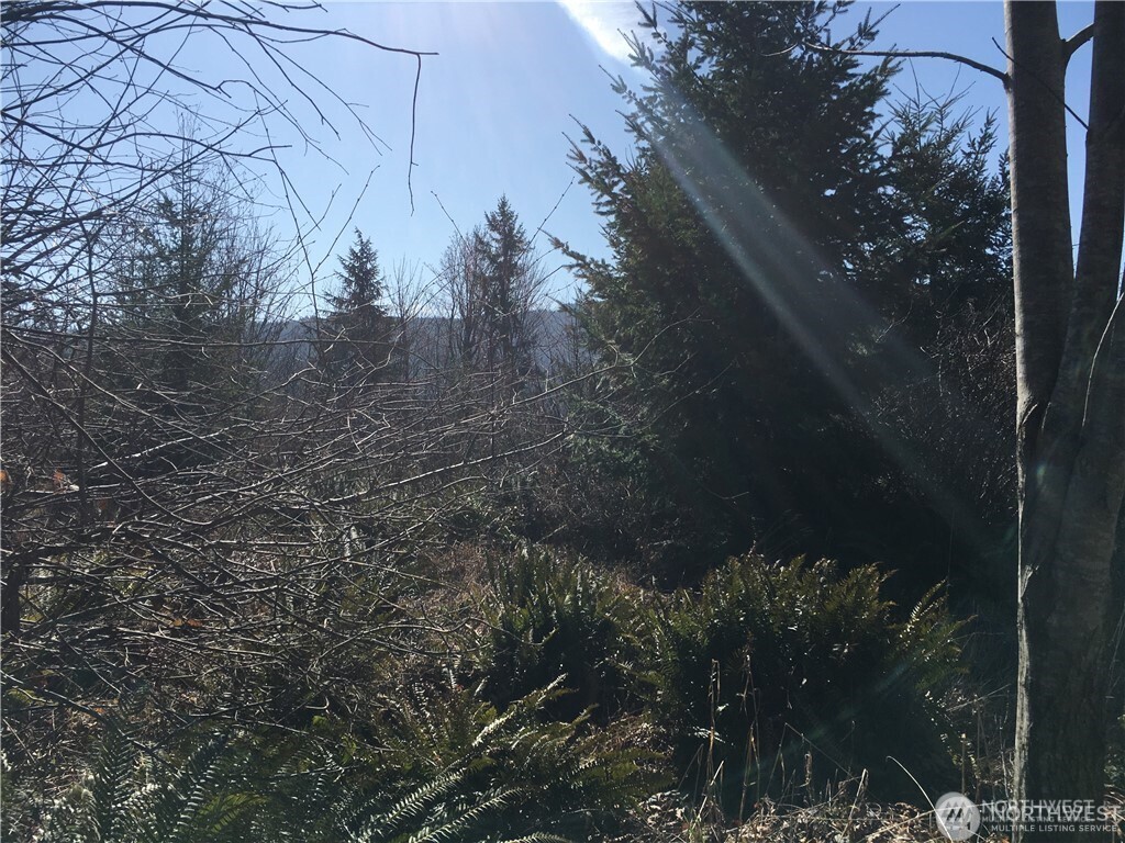 0 Summit Lake Road Property Photo 18