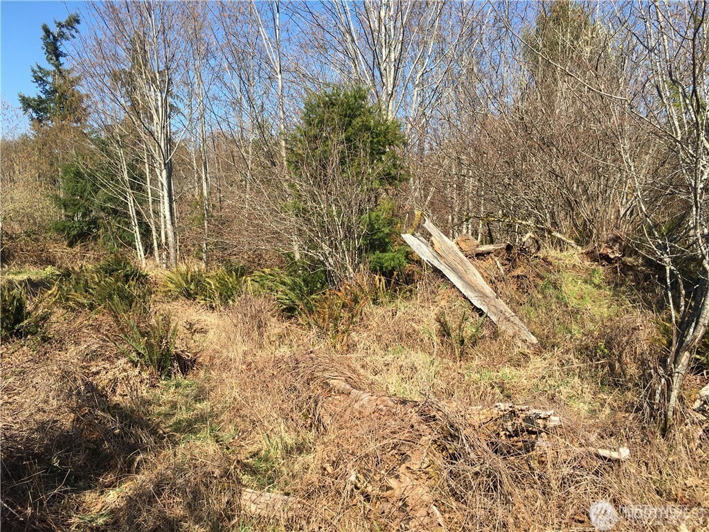 0 Summit Lake Road Property Photo 19
