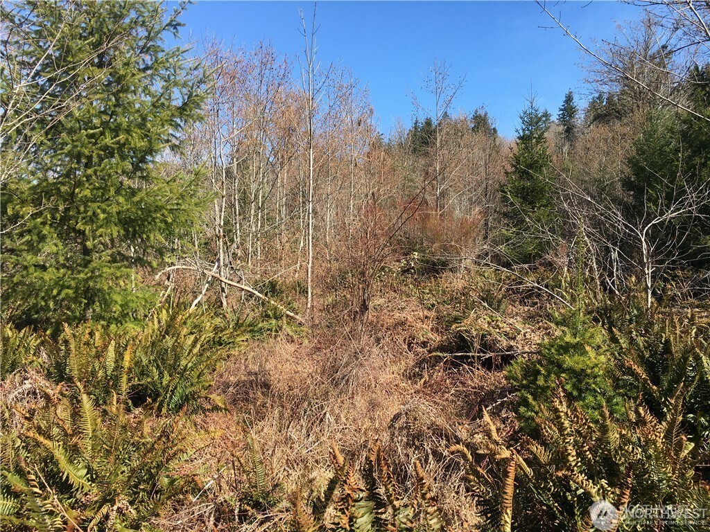 0 Summit Lake Road Property Photo 20