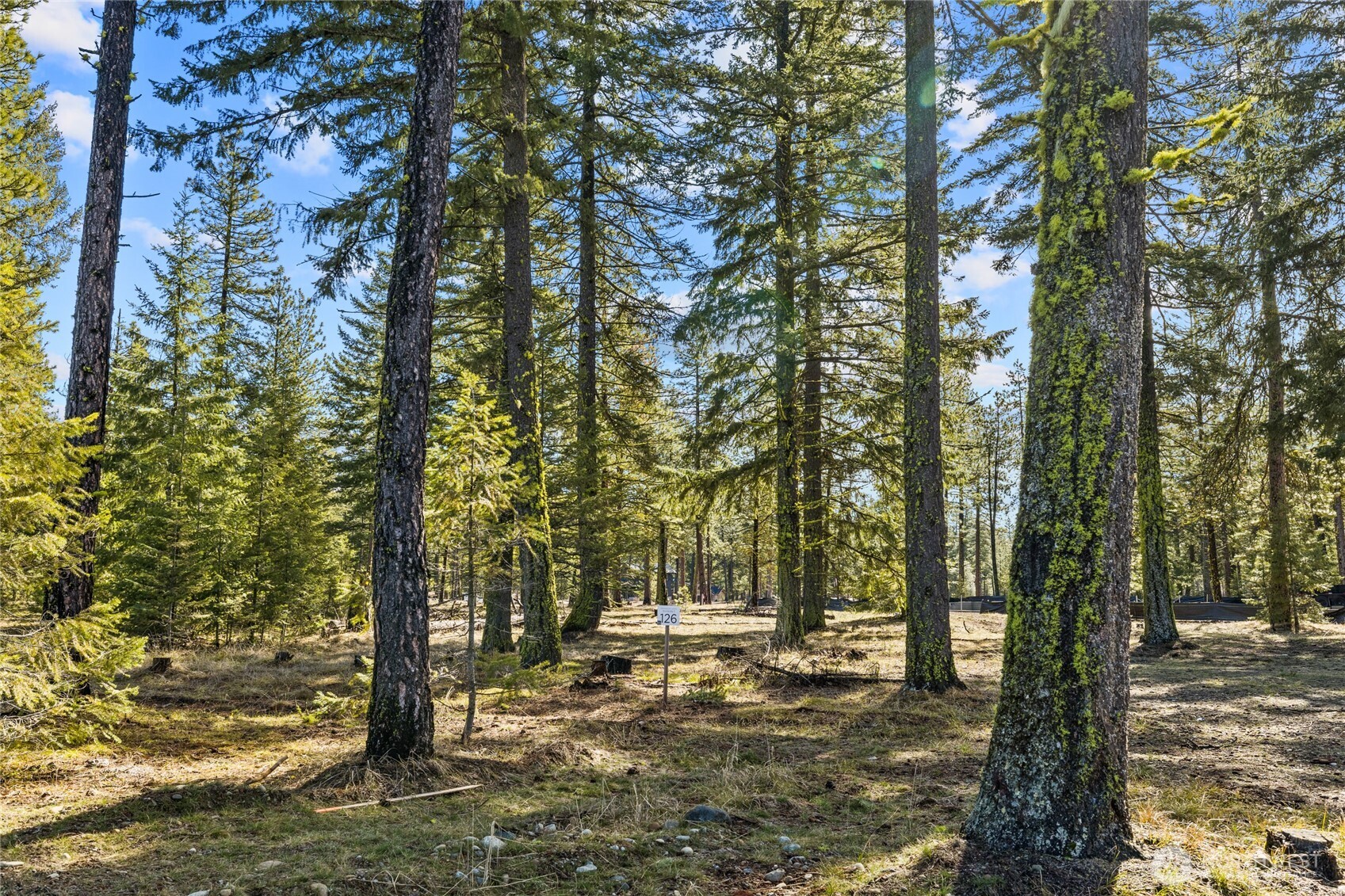 126 Lot Wanawish Property Photo 3