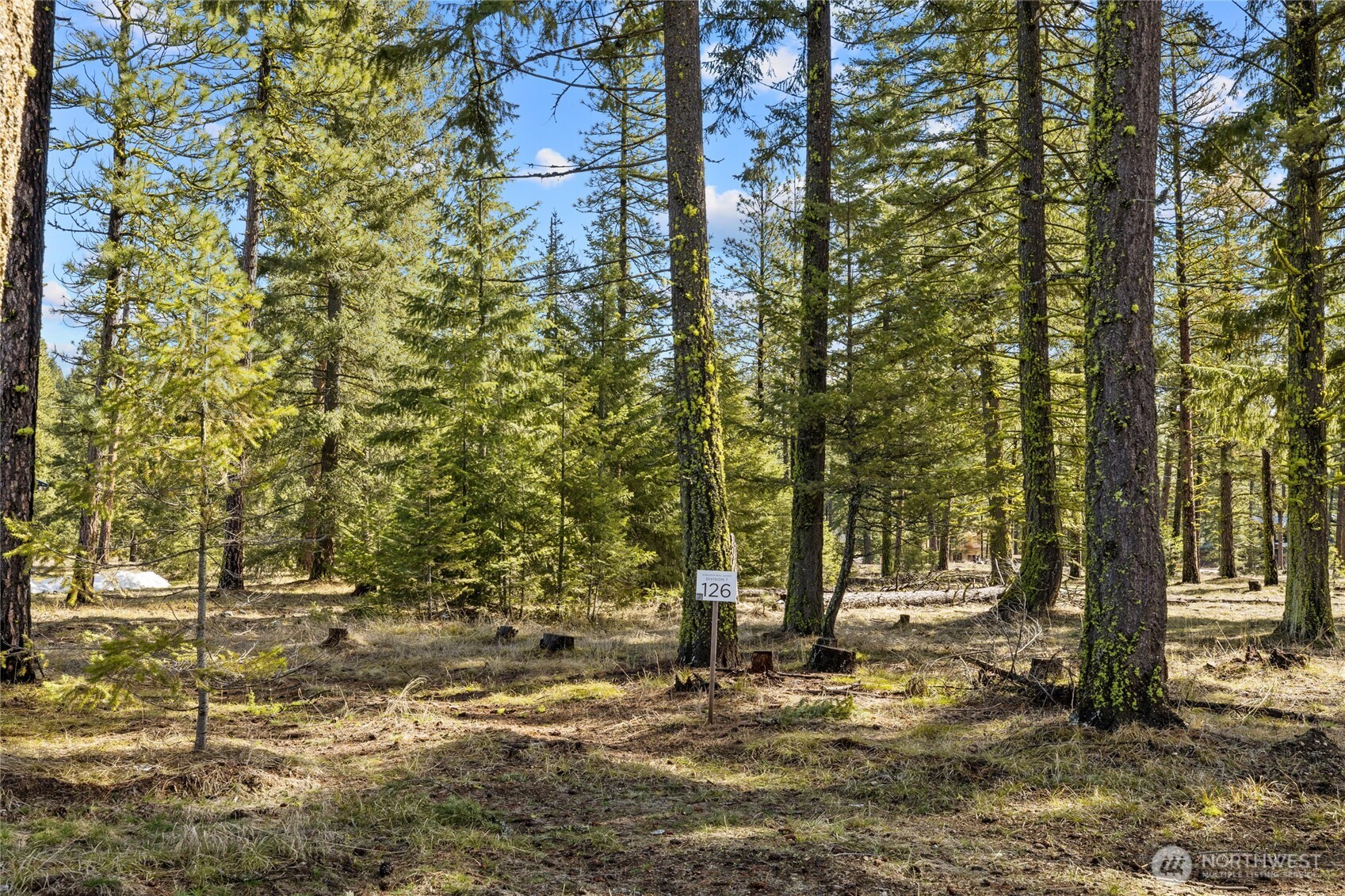 126 Lot Wanawish Property Photo 6