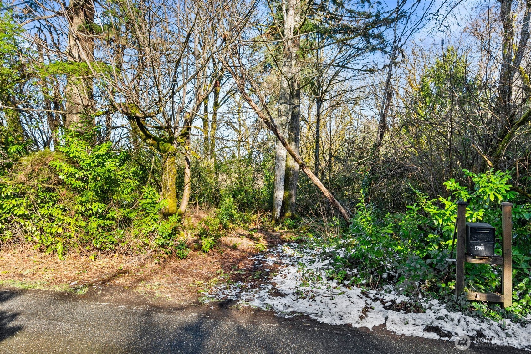 0 Libby Road Property Photo 4