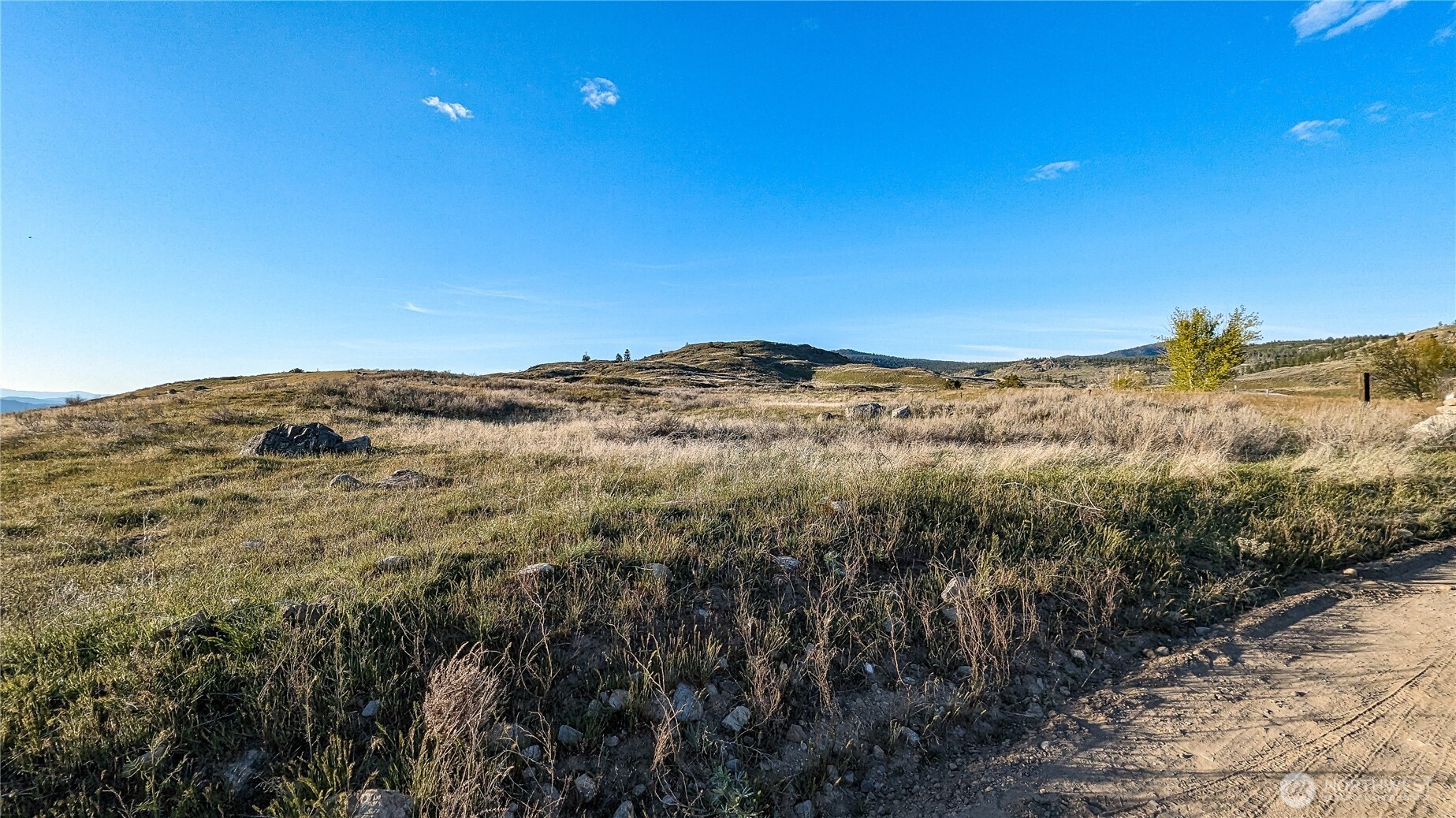 174 Round Up Road Property Photo 1