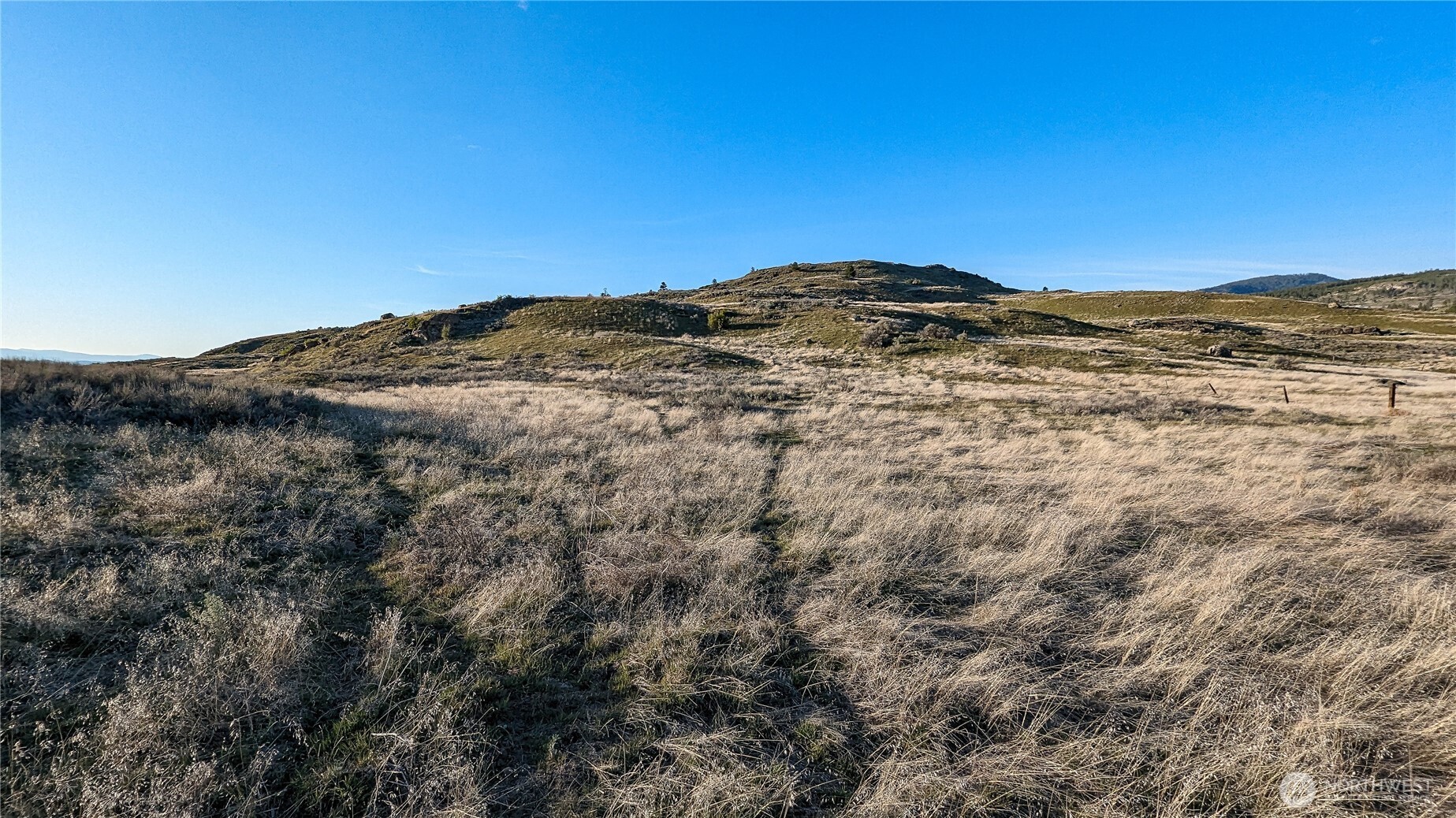 174 Round Up Road Property Photo 4