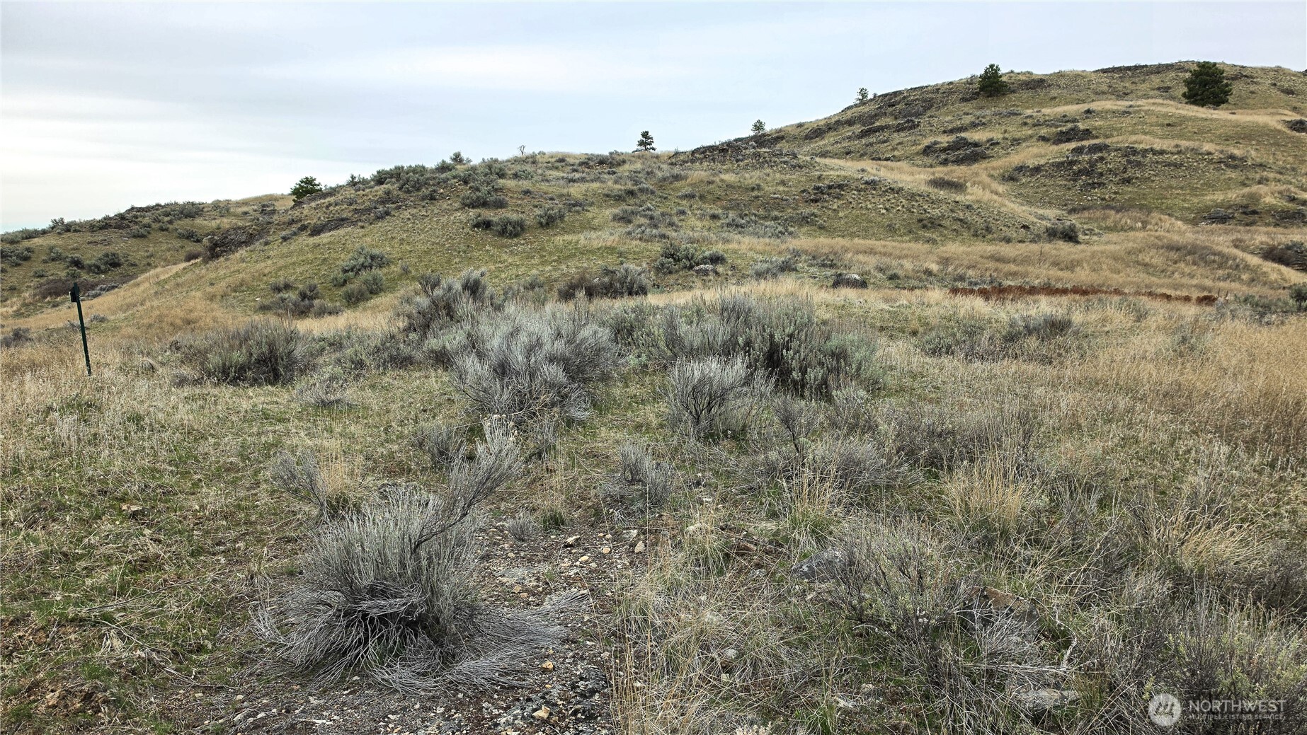 174 Round Up Road Property Photo 11