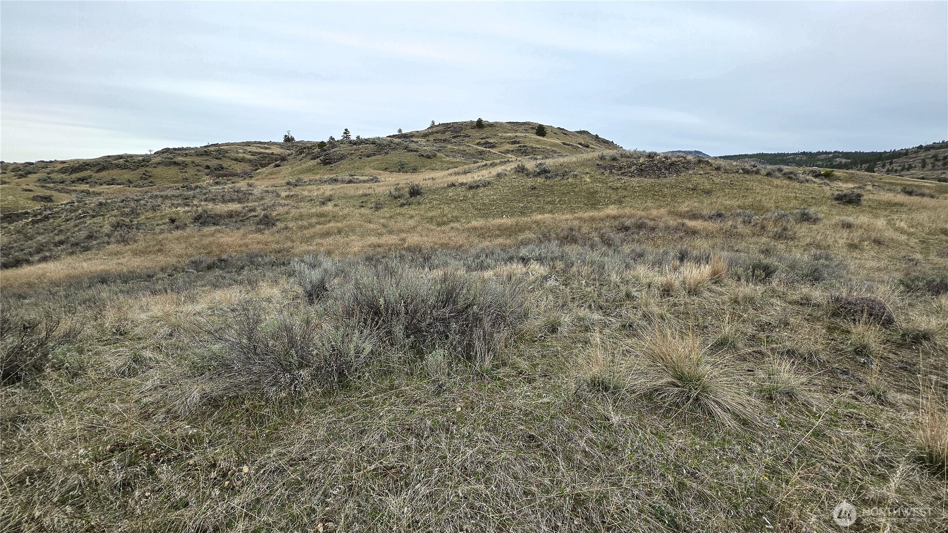 174 Round Up Road Property Photo 13